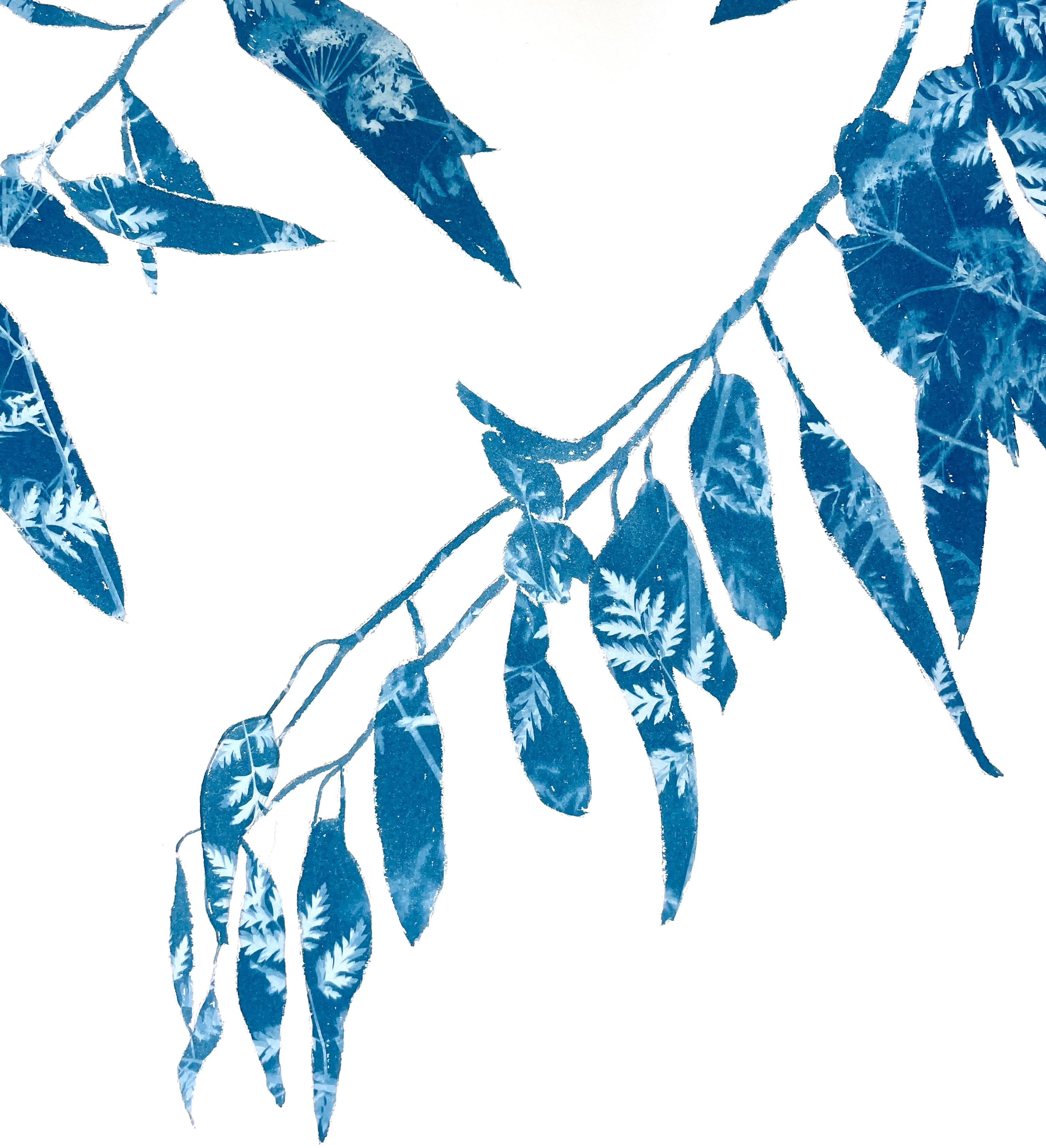 Frühlings-Eukalyptus (18 x 24 Zoll Cyanotypie-Gemälde) (Blau), Still-Life Print, von Christine So