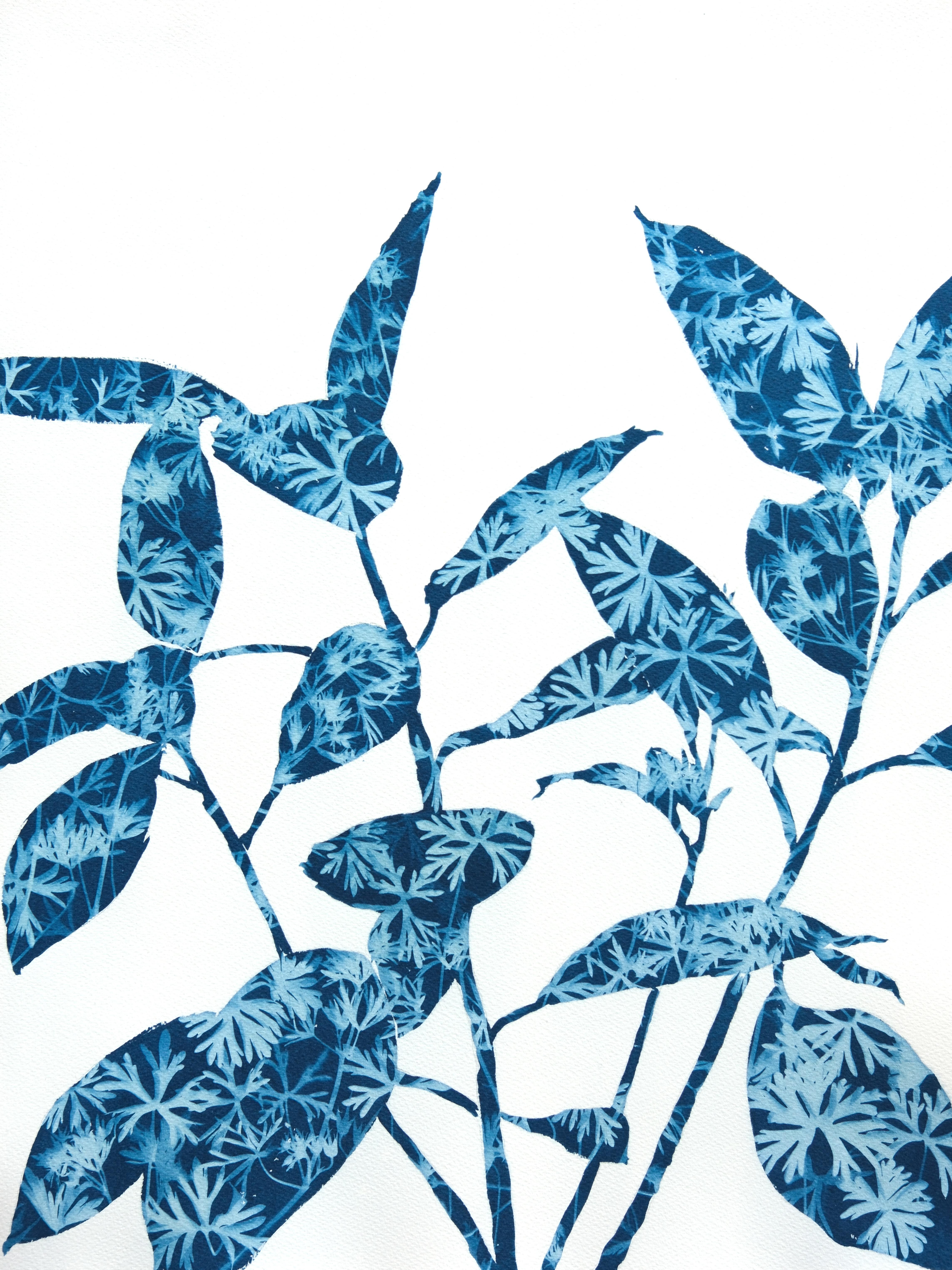 Ficus di primavera II (dipinto in cianotipia 24 x 18 pollici)