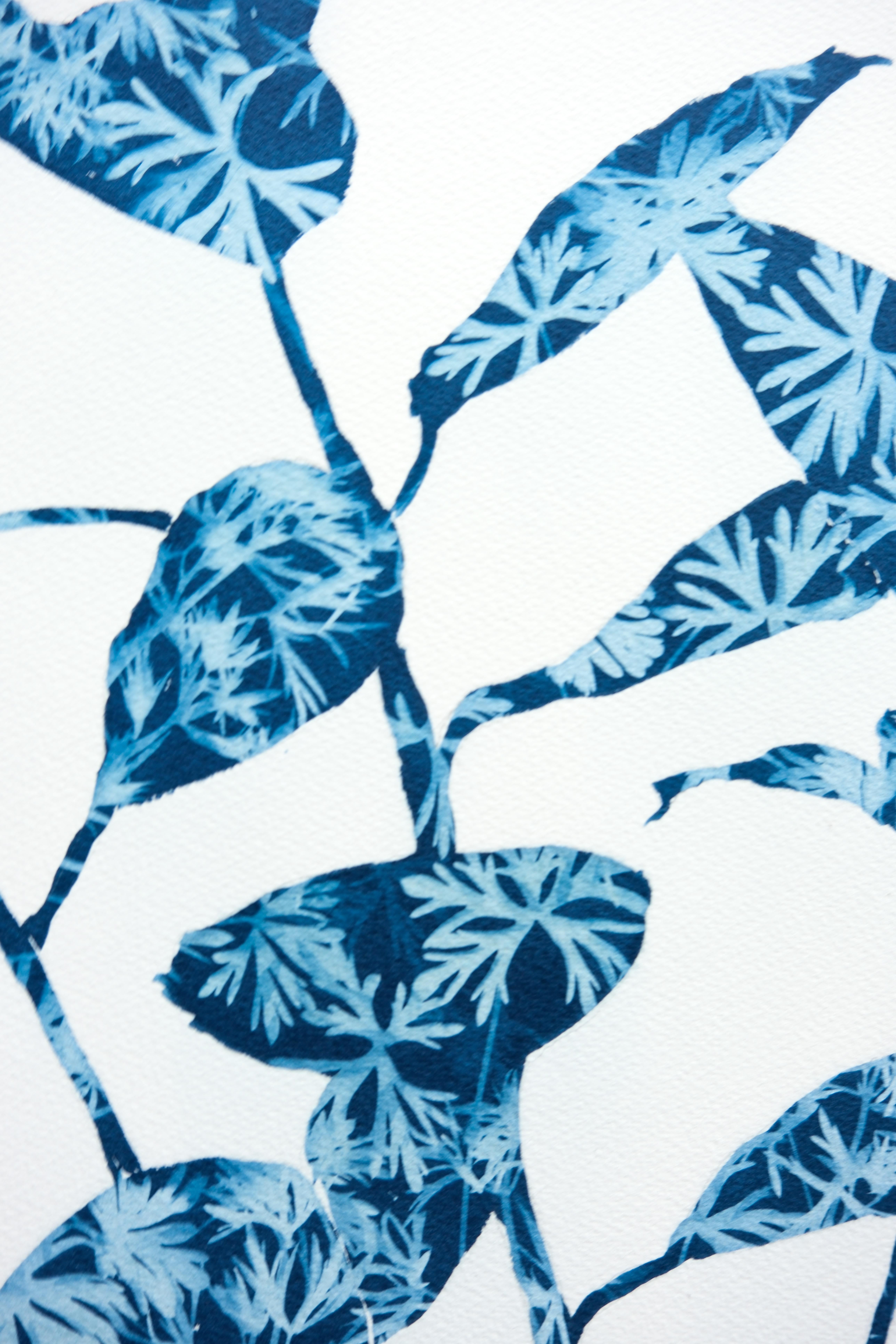 Spring Ficus III (24 x 18 Zoll Cyanotypie-Gemälde) – Print von Christine So