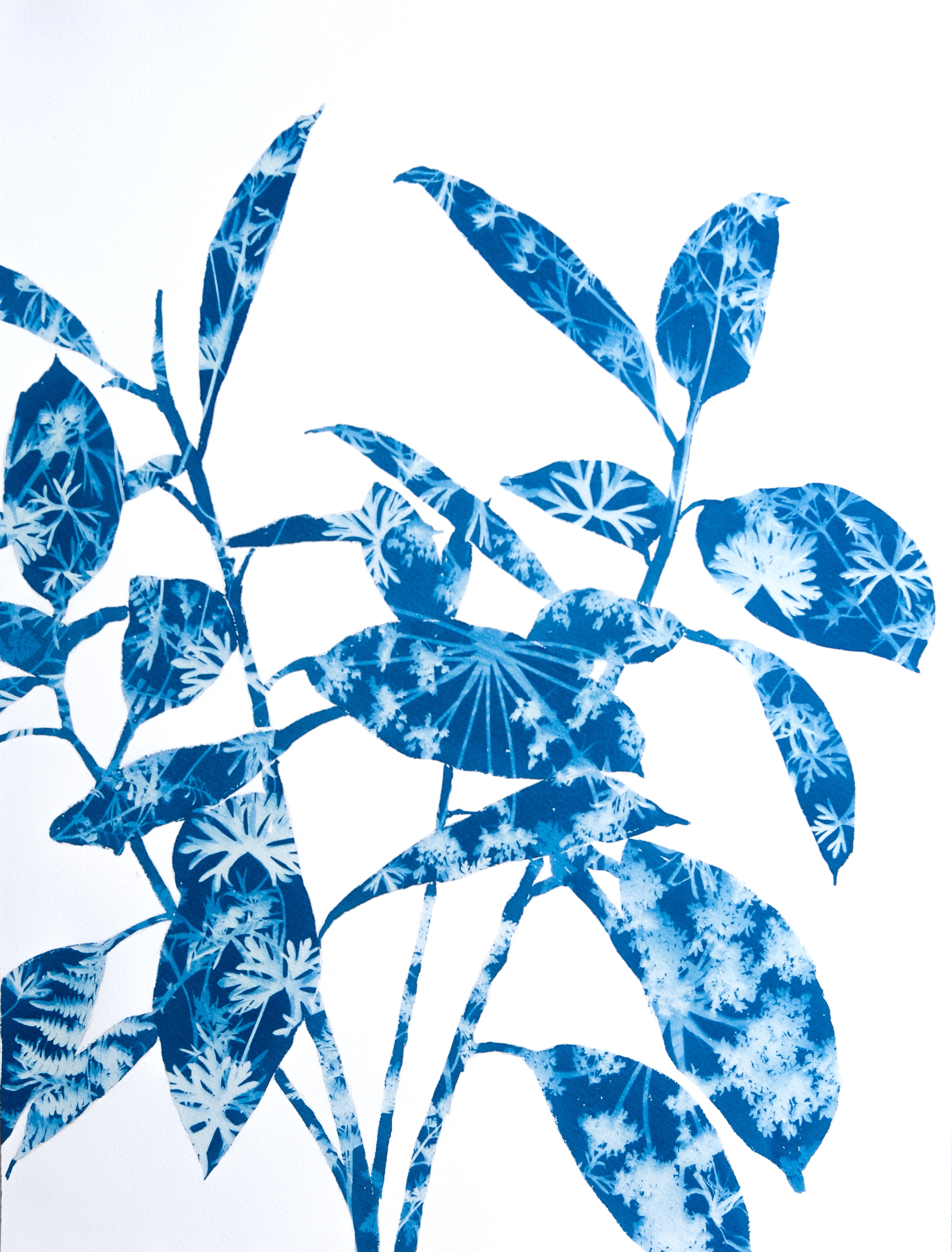 Ficus di primavera III (dipinto in cianotipia 24 x 18 pollici)