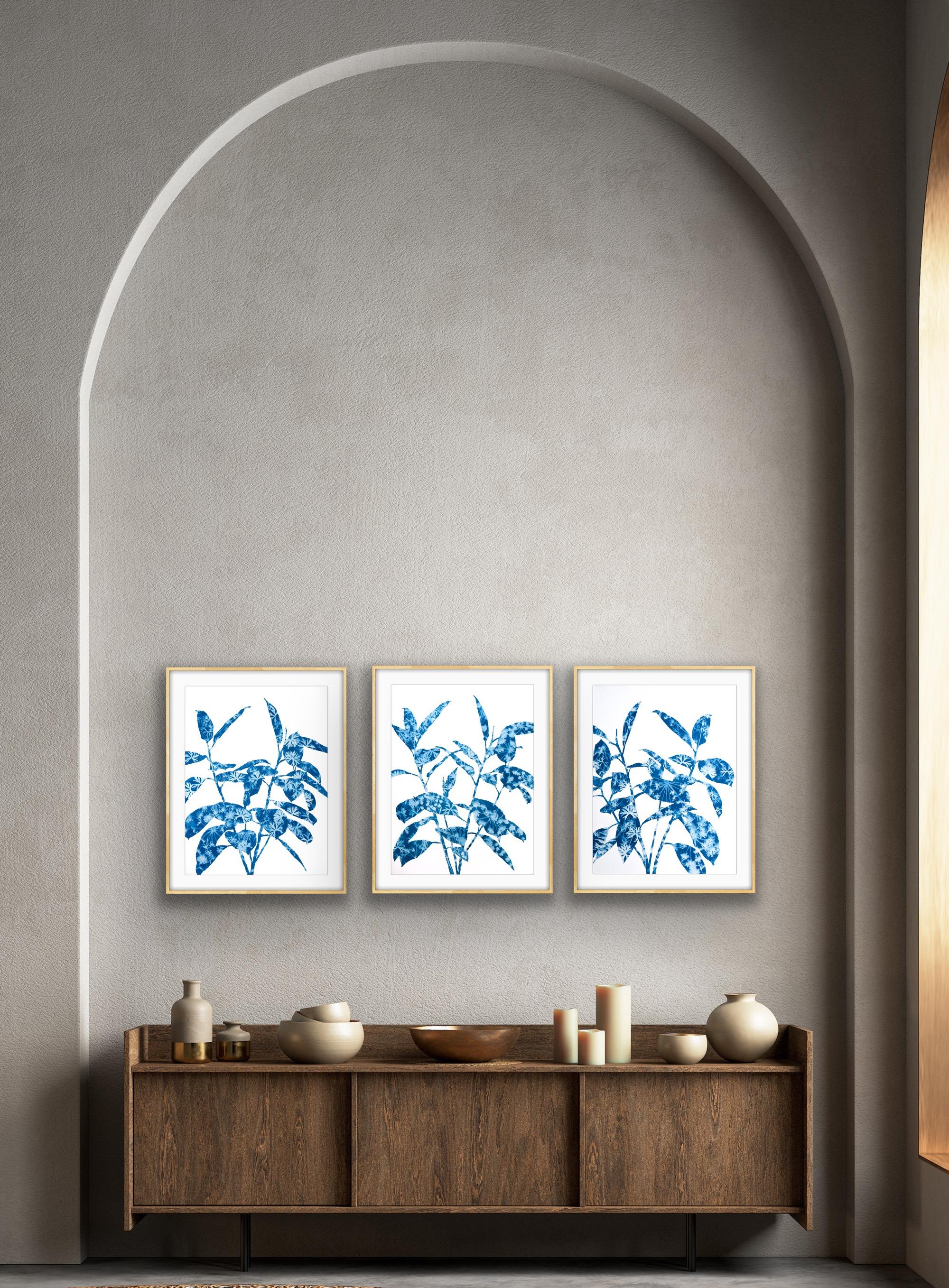 Il s'agit d'une combinaison de peinture et de photographie, le procédé antique du cyanotype. La silhouette de la plante a d'abord été dessinée, puis peinte non pas avec de l'encre ou de la peinture, mais avec une émulsion photo sensible à la
