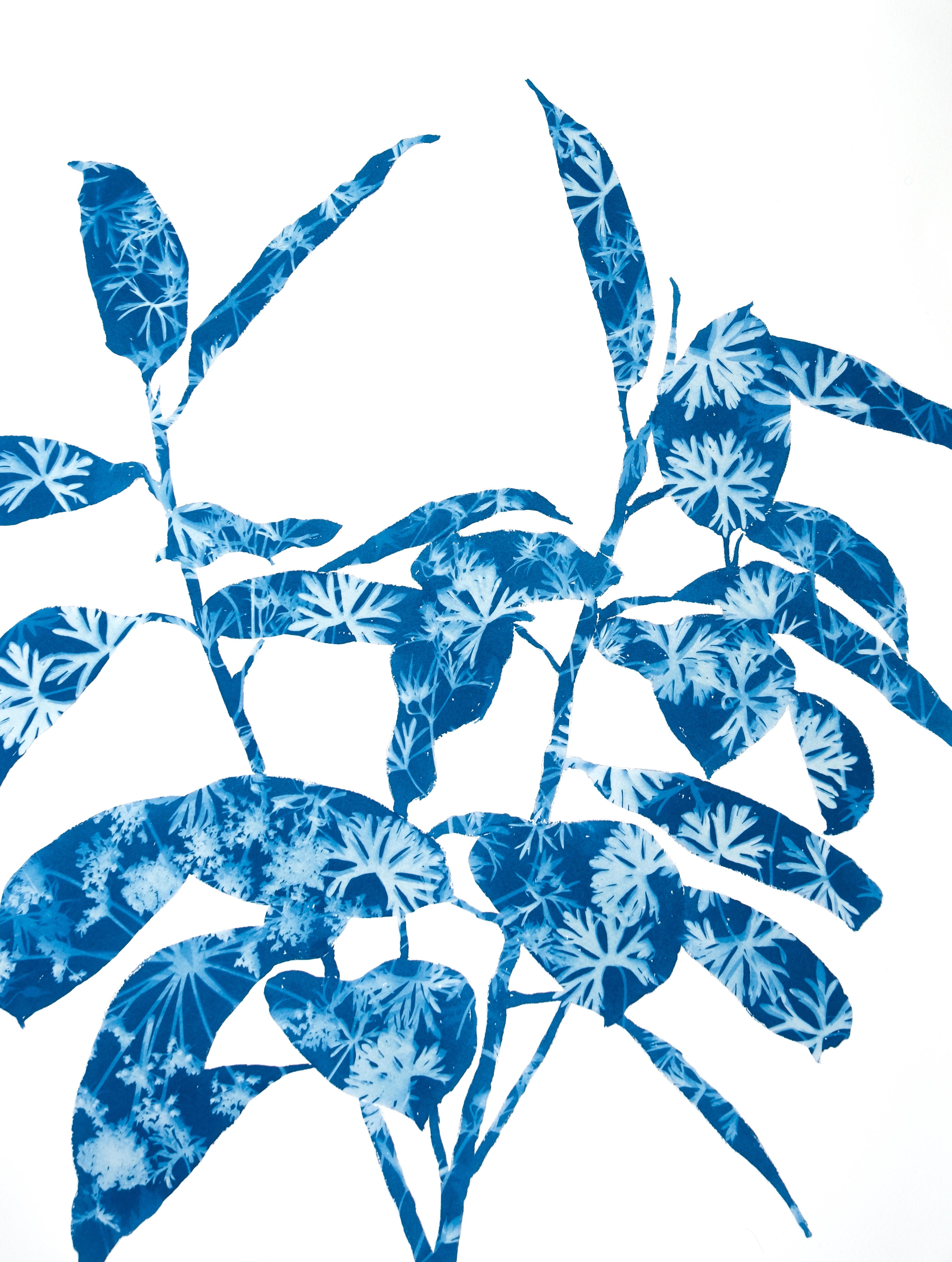 Ficus di primavera IV (dipinto in cianotipia 24 x 18 pollici)