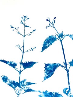 Spring Forest Floor (30 x 22,5" Cyanotypie-Gemälde)