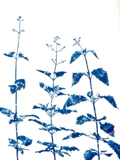 Spring Forest Floor (30 x 22.5" cyanotype painting)