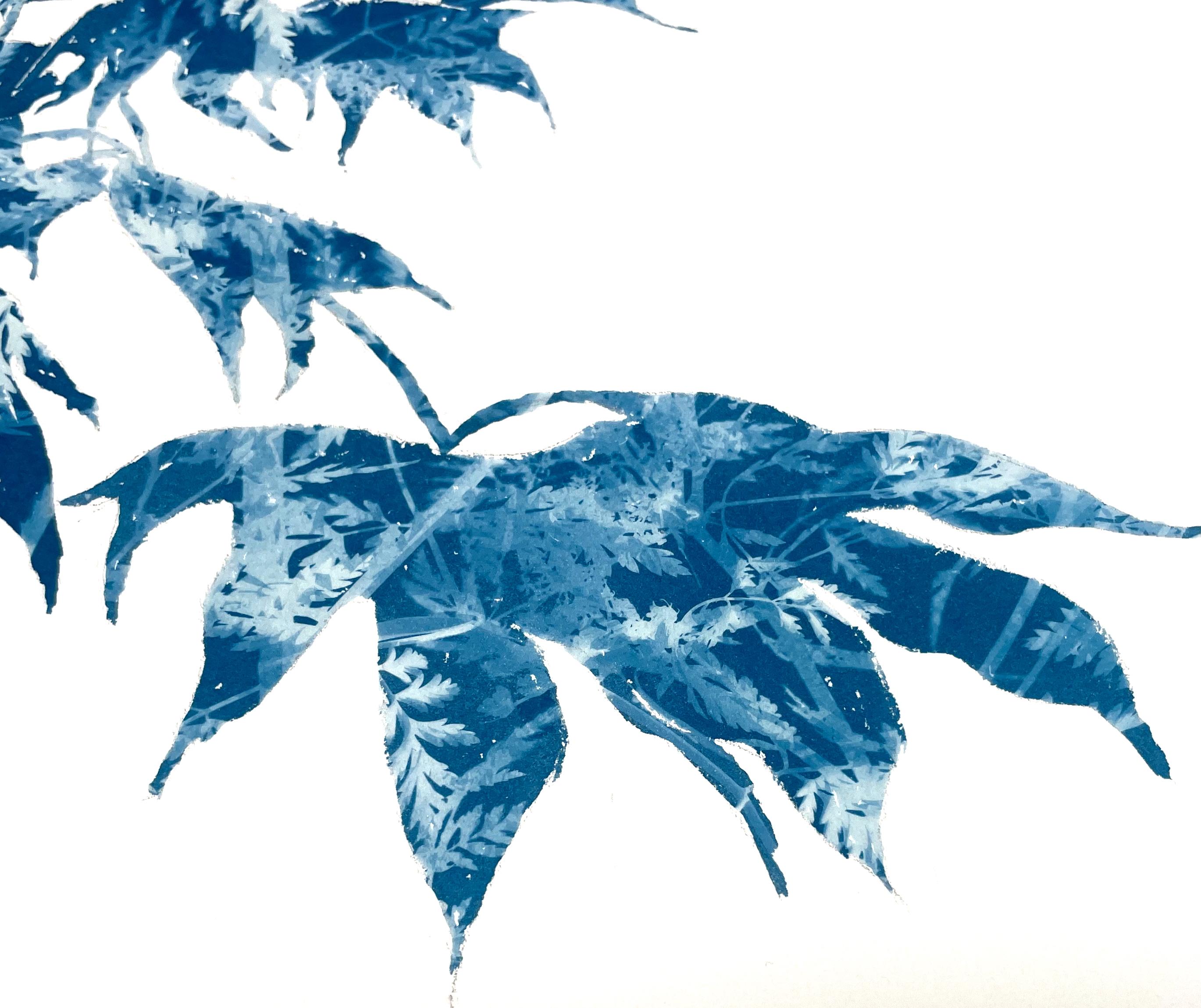 Arce japonés de primavera (pintura cianotipia de 18 x 18 pulgadas) - Print de Christine So