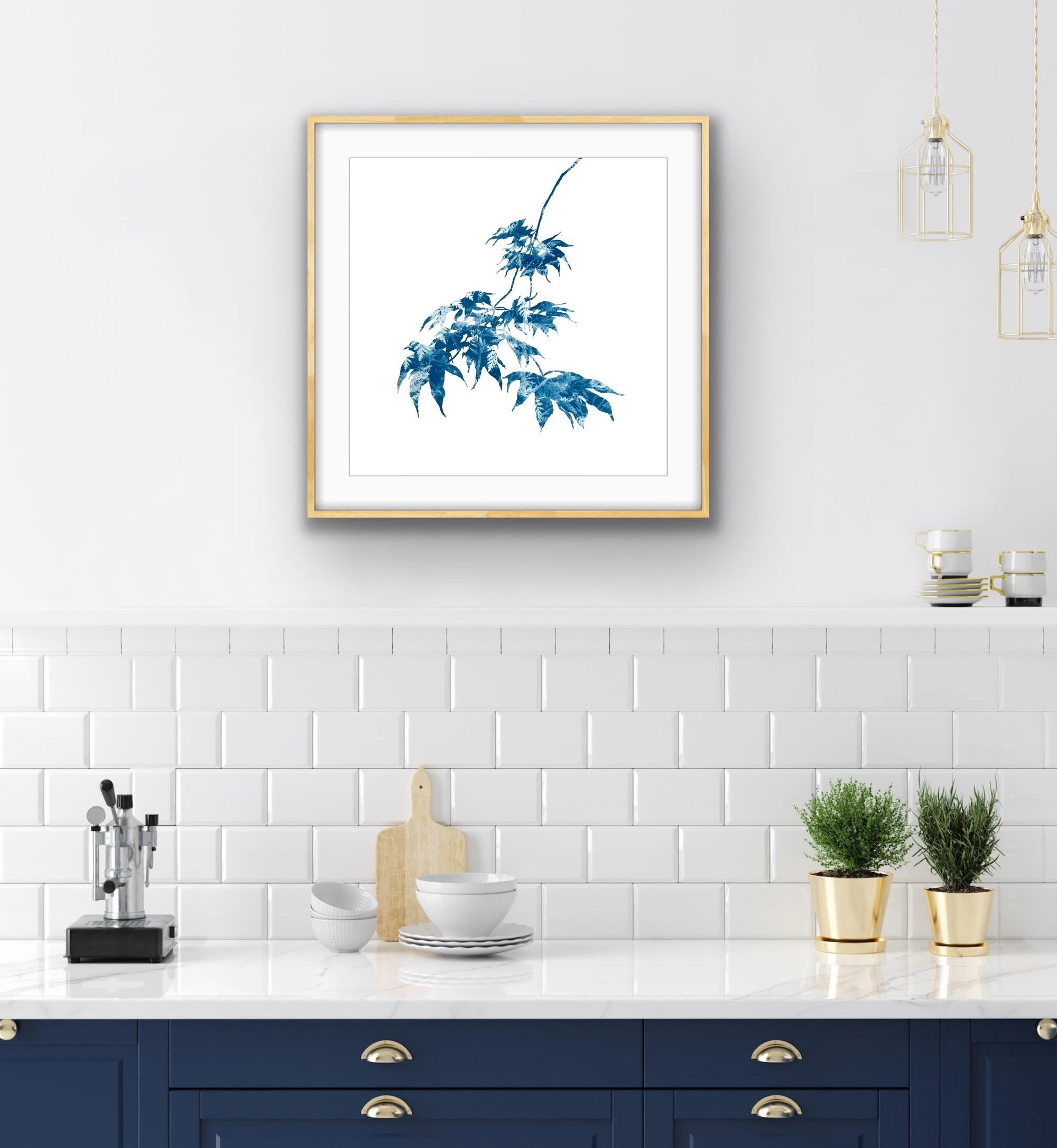Se trata de una combinación de pintura y fotografía, el antiguo proceso de la cianotipia. Primero se dibujó la silueta de la planta y luego no se pintó con tinta o pintura, sino con emulsión fotográfica sensible a la luz. El dibujo azul y blanco que