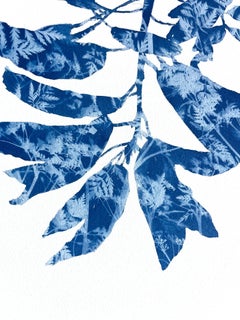 Delft Garden Cyanotype Painting on Cotton Paper, Signed, 24x18 Inch