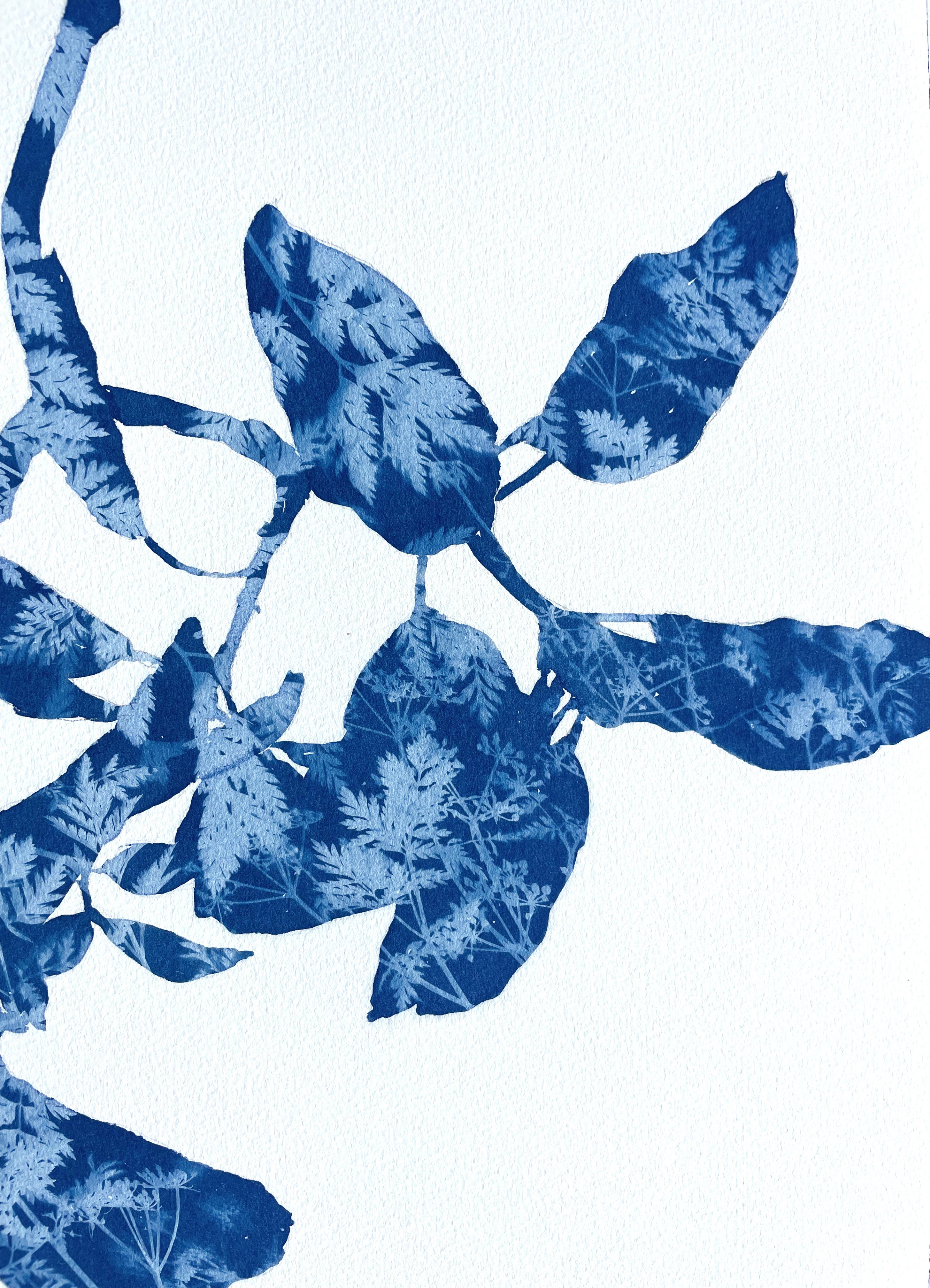 Madroño de primavera I (pintura cianotipia de 24 x 18 pulgadas) - Still-Life Painting Azul de Christine So