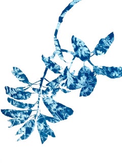 Madrone di primavera I (dipinto in cianotipia 24 x 18 pollici)