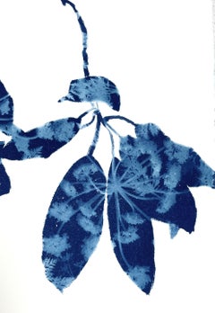 Madroño de primavera III (pintura cianotipia 30 x 22")