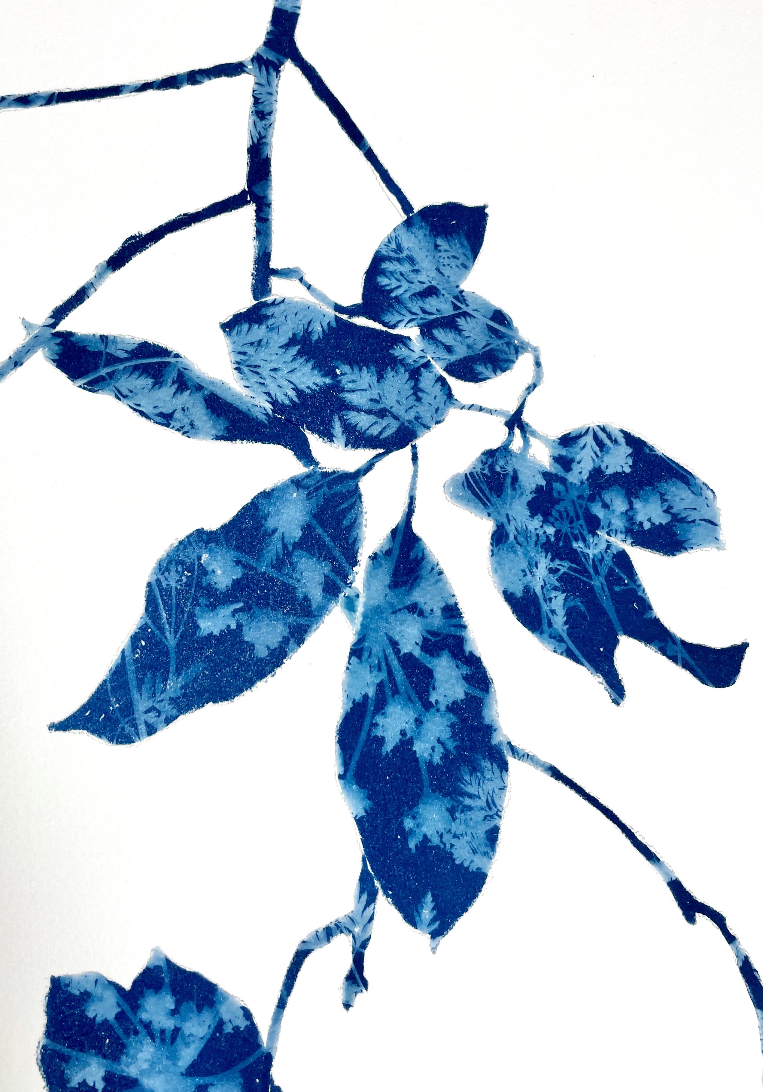 Spring Madrone III (30 x 22