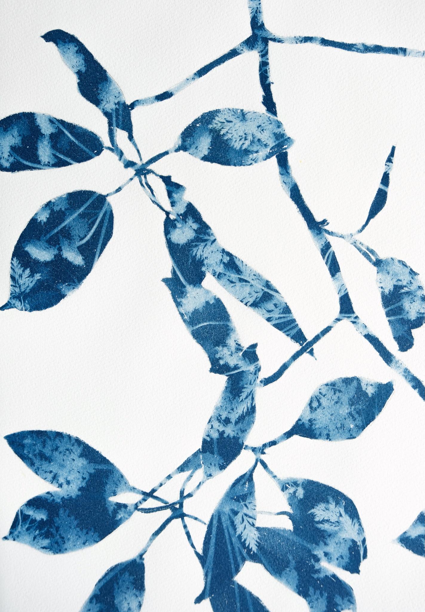 Spring Madrone IV (30 x 22