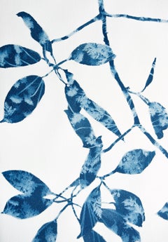 Spring Madrone IV Cyanotype Painting, 22 x 30 inches on cotton paper, signed