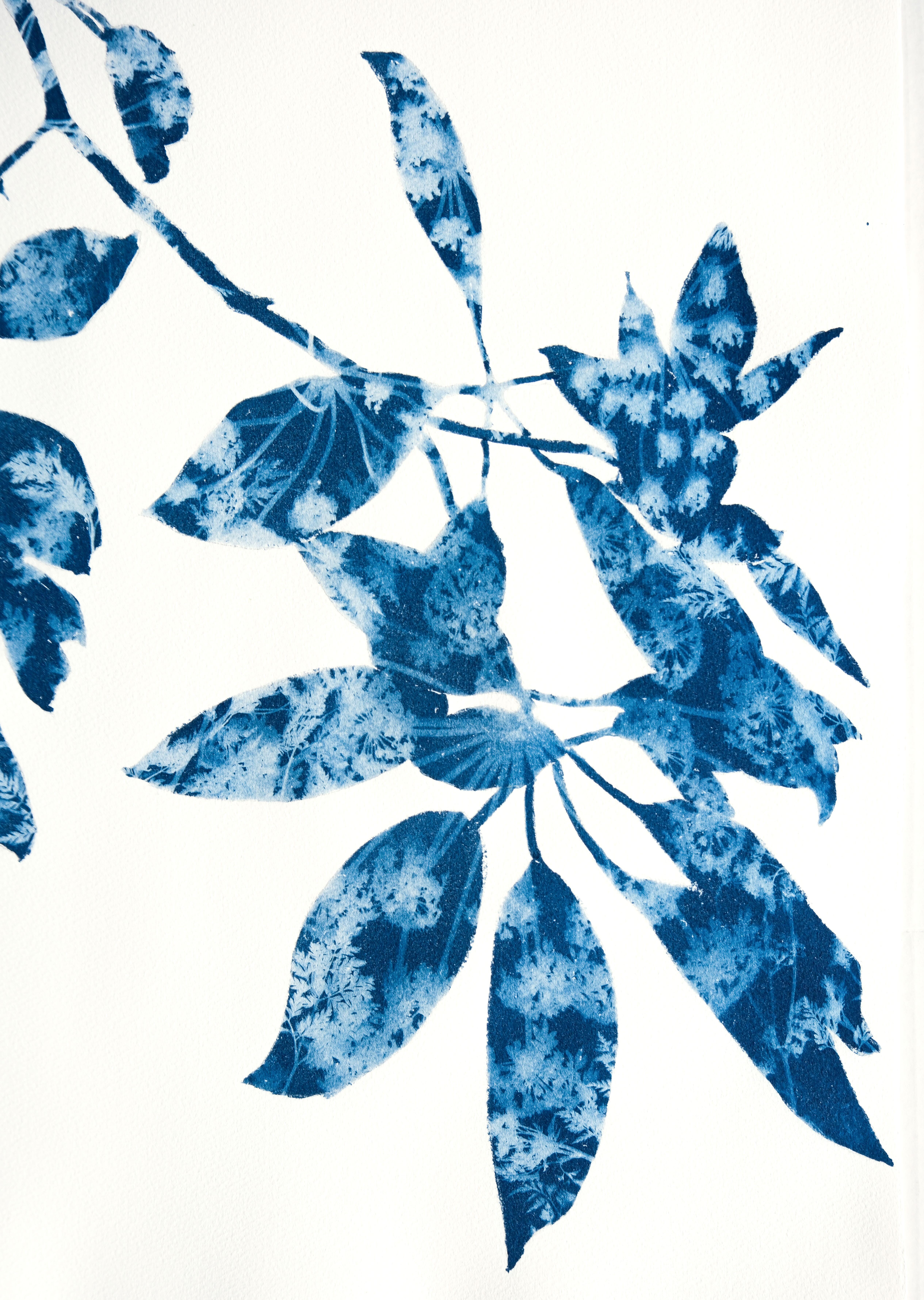 Spring Madrone IV (30 x 22