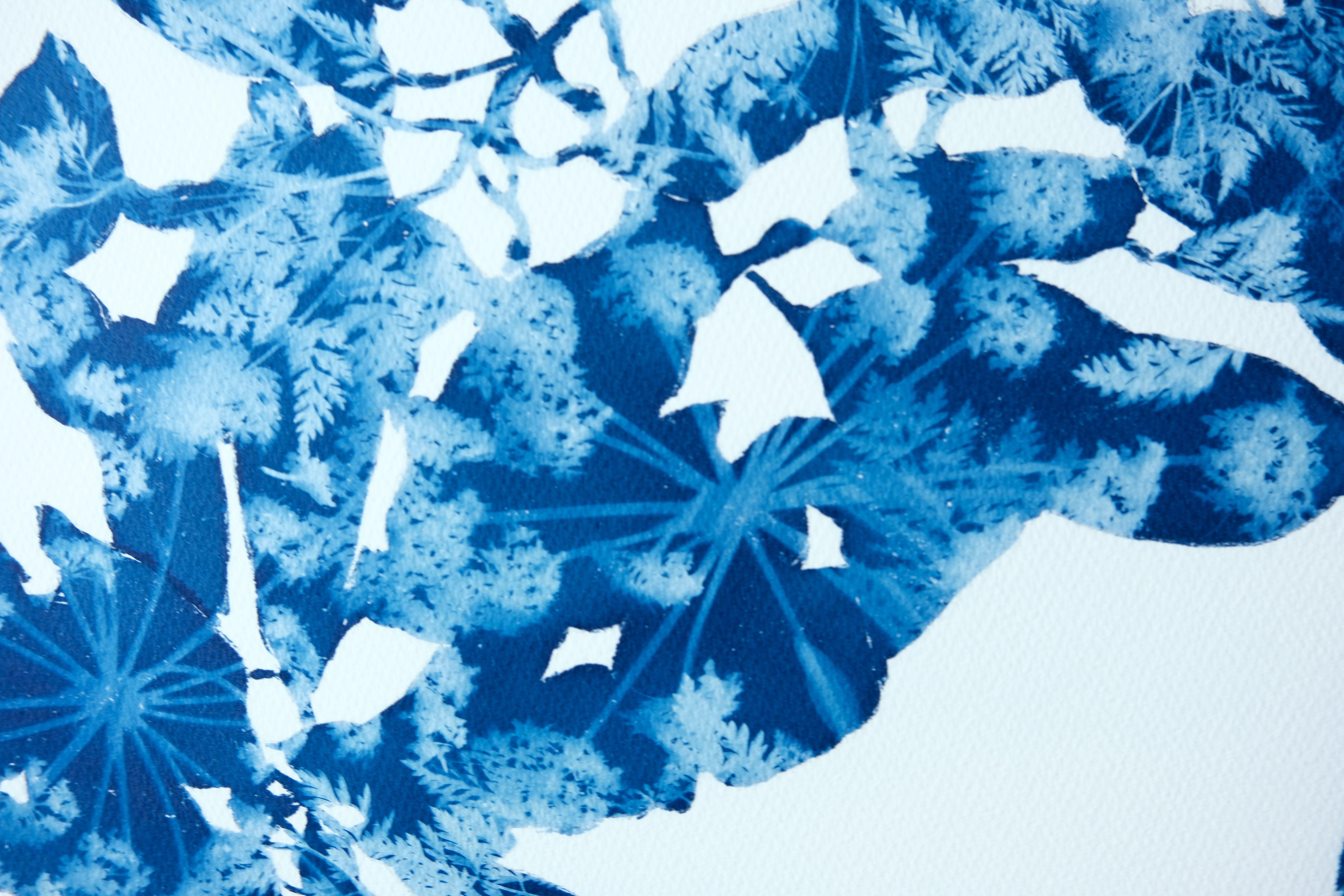 In ihrer Serie Delft Garden zeichnete die Künstlerin Christine So zunächst die Umrisse einer Pflanze mit Bleistift und malte sie dann in einem dunklen Raum  -nicht mit Farbe- sondern mit der lichtempfindlichen Cyanotypie-Emulsion. Nach dem Trocknen