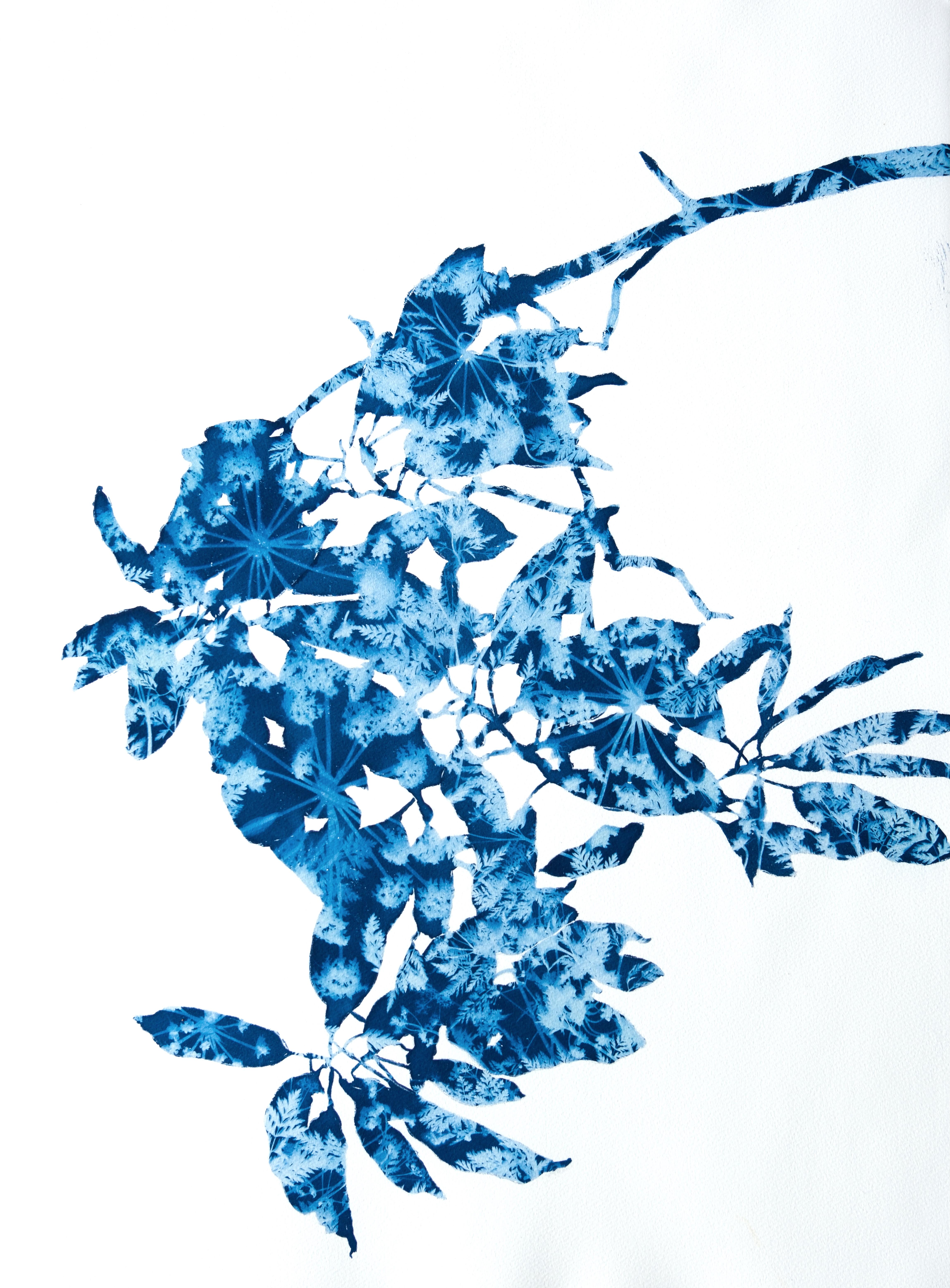 Madrone di primavera V (dipinto in cianotipia 30 x 22")