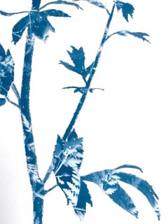 Spring Poppies Cyanotype Painting on Rag Paper, 22 x 30 inches, signed