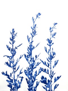 Spring Poppies (30 x 22.5" cyanotype painting)