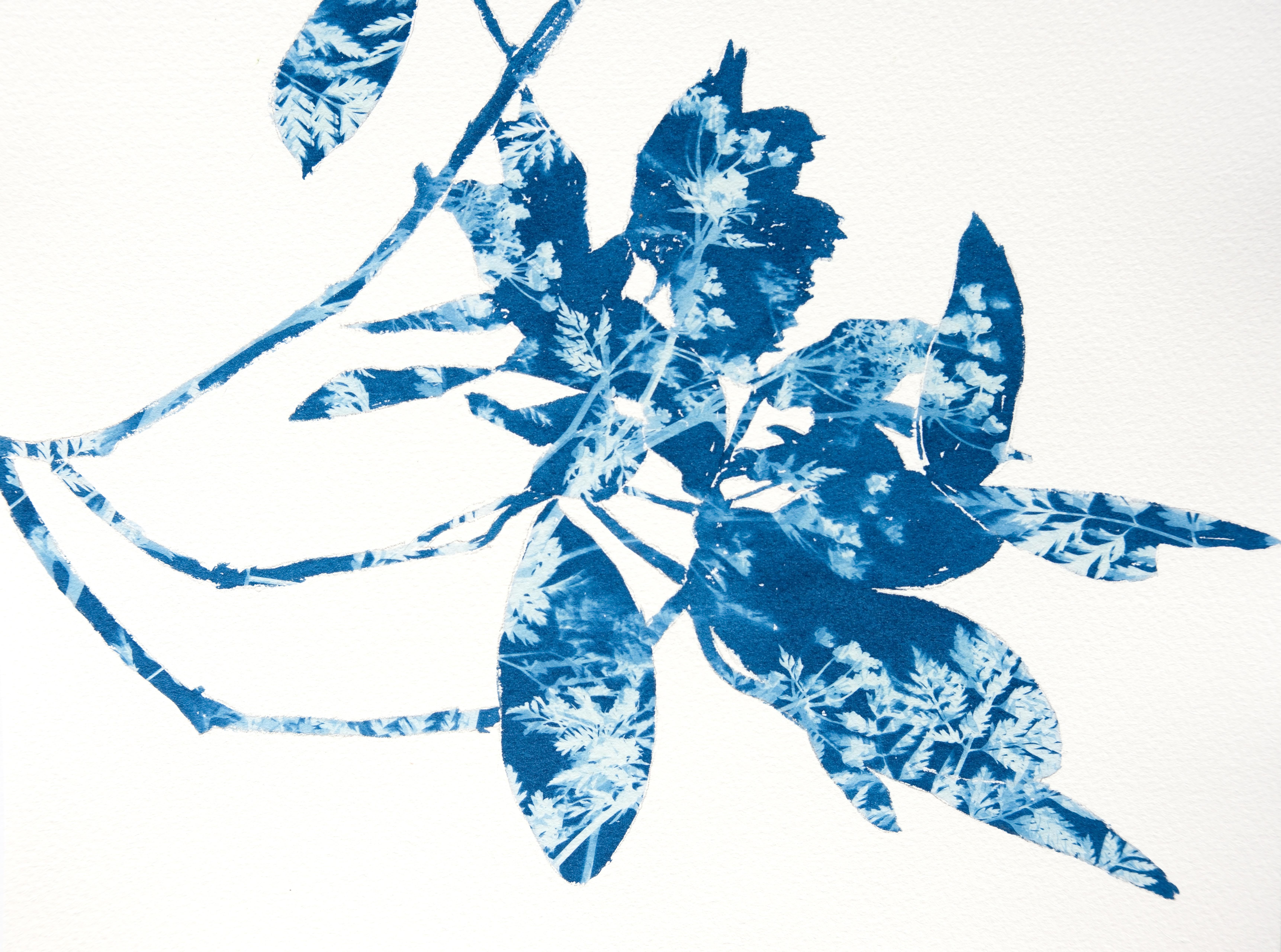 Rododendro primaverile I (dipinto in cianotipia 18 x 12 pollici) - Print di Christine So