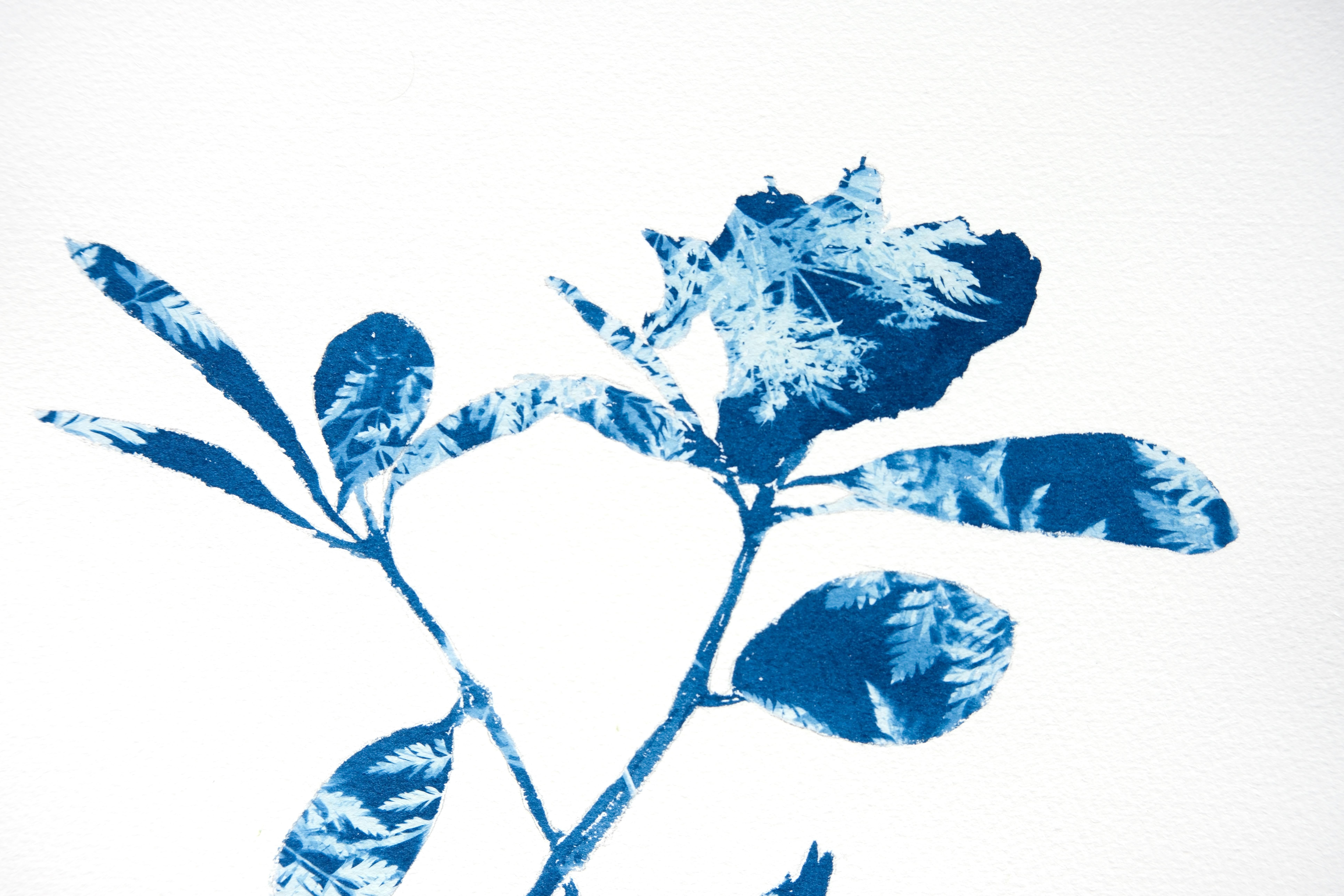 Rododendro primaverile I (dipinto in cianotipia 18 x 12 pollici) - Print Contemporaneo di Christine So