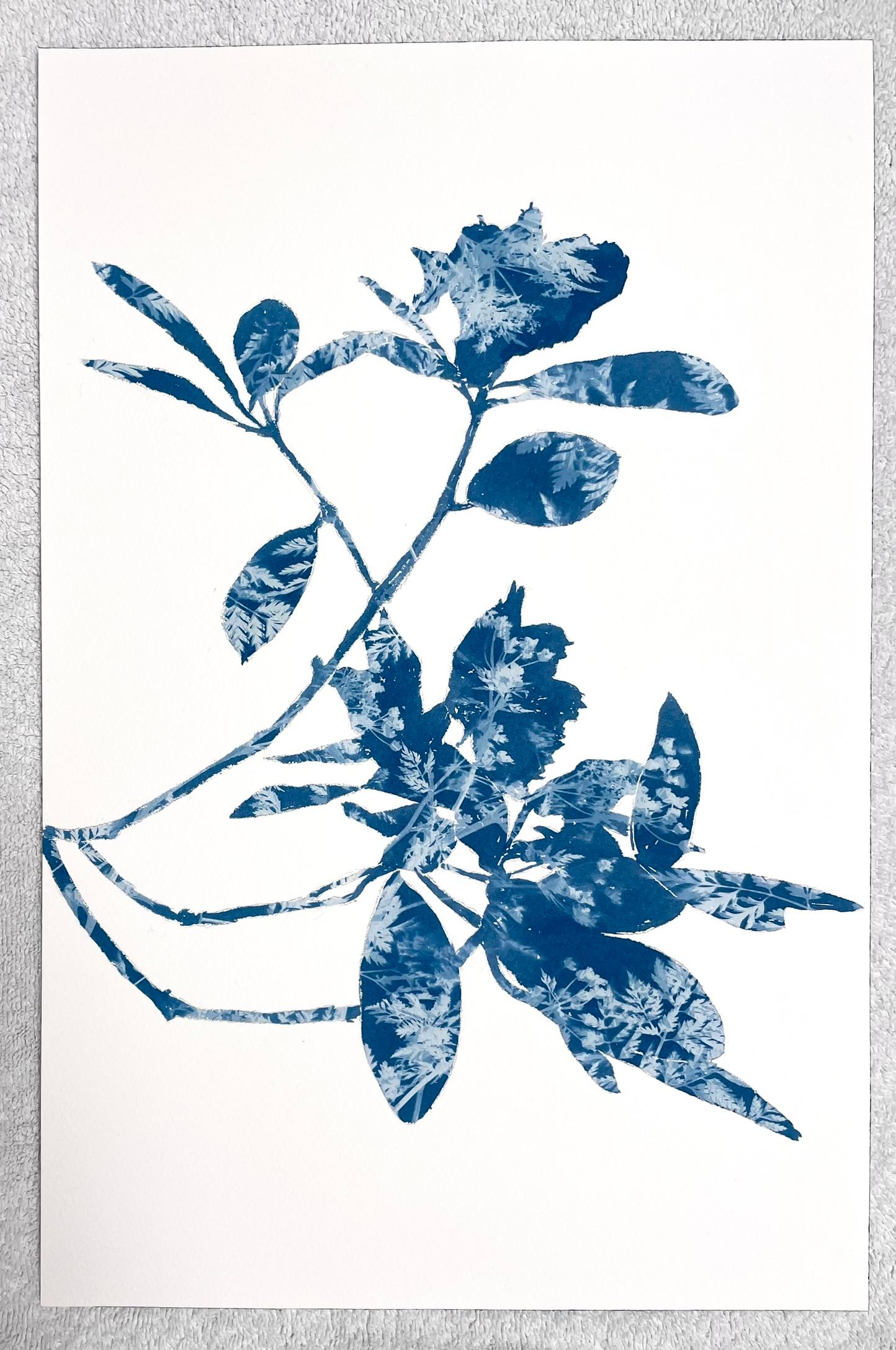 Rododendro primaverile I (dipinto in cianotipia 18 x 12 pollici) - Still-Life Print Blu di Christine So