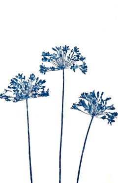 Summer Garden (40 x 26 inch cyanotype painting)