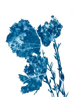 Summer Poppies Cyanotype Painting on Rag Paper, Contemporary Botanical, 30x22"