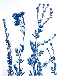 Summer Poppies (30 x 22.5" cyanotype painting)