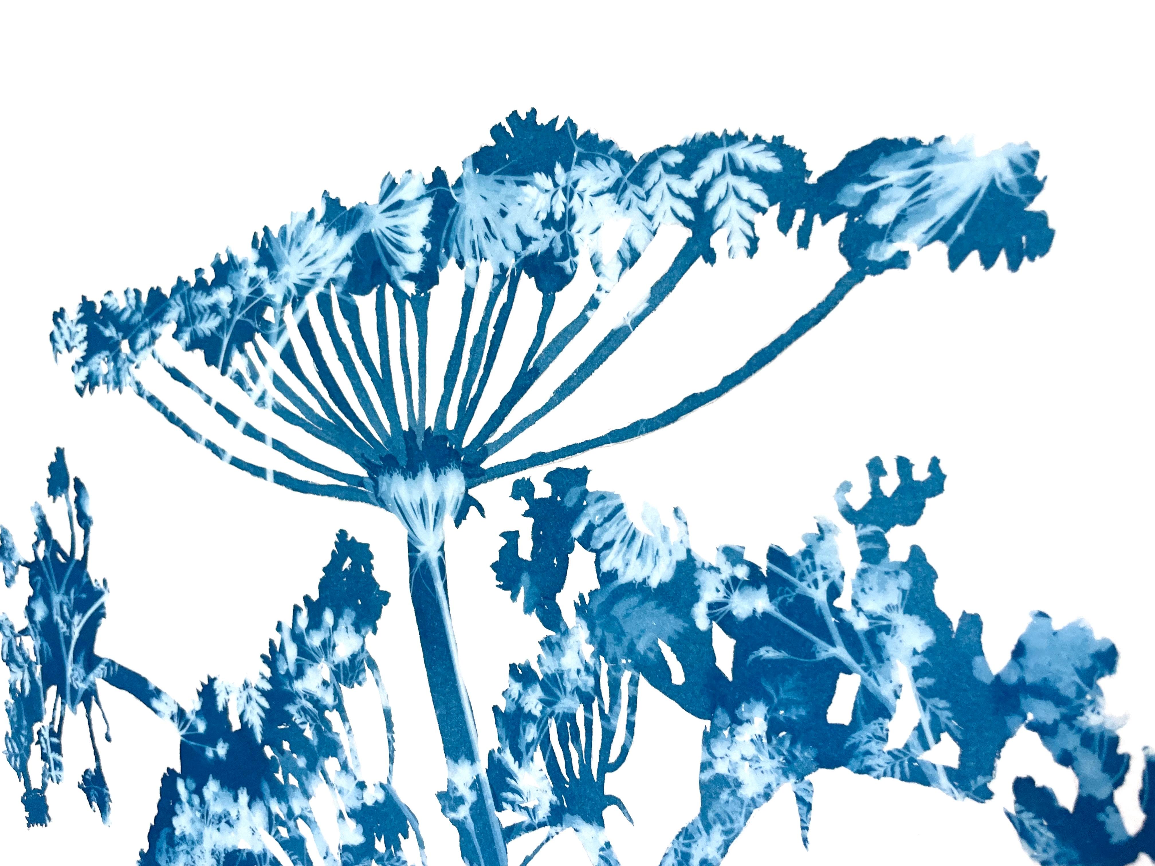This is a combination of painting and photography, the anqtique cyanotype process. The silhouette of the plant was first drawn, then painted not with ink or paint, but with light-sensitive photo emulsion. The blue and white pattern seen in each leaf