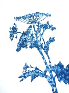 Summer Woods (Original-Cyanotypie-Gemälde gerahmt auf 36,5 x 29,5 x 2,75)