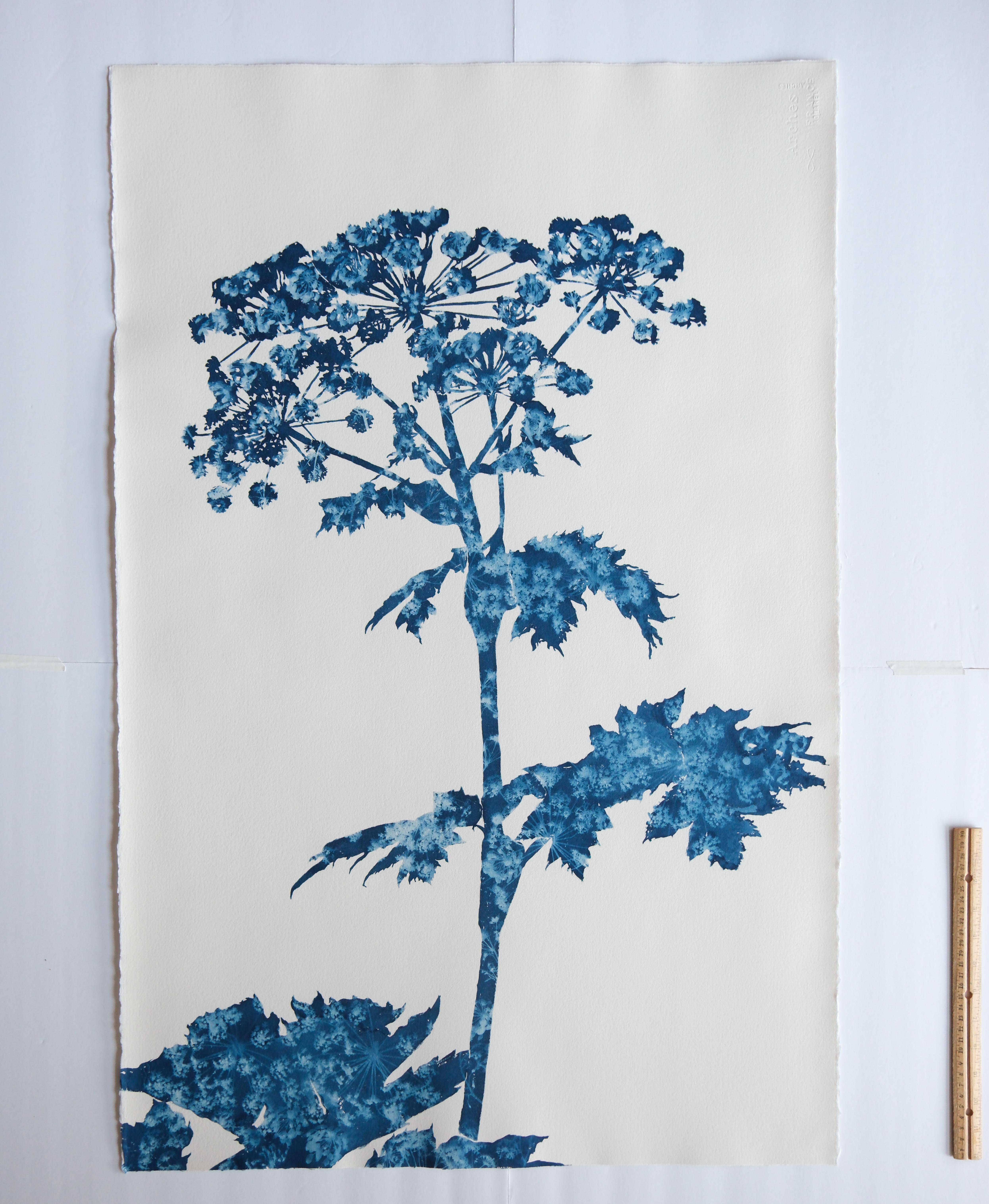 Bosques de verano III (pintura cianotipia de 40 x 26 pulgadas) - Painting de Christine So