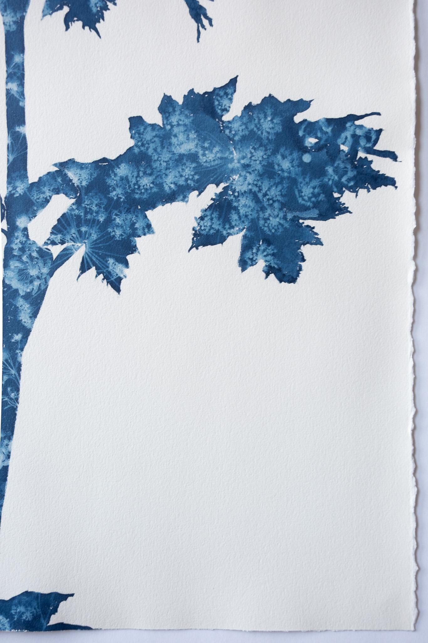 Se trata de una combinación de pintura y fotografía, el antiguo proceso de la cianotipia y el mayor que el artista ha realizado nunca. Primero se dibujó la silueta de la planta y luego no se pintó con tinta o pintura, sino con emulsión fotográfica