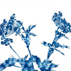 Summer Woods IV (18 x 18" cyanotype painting)