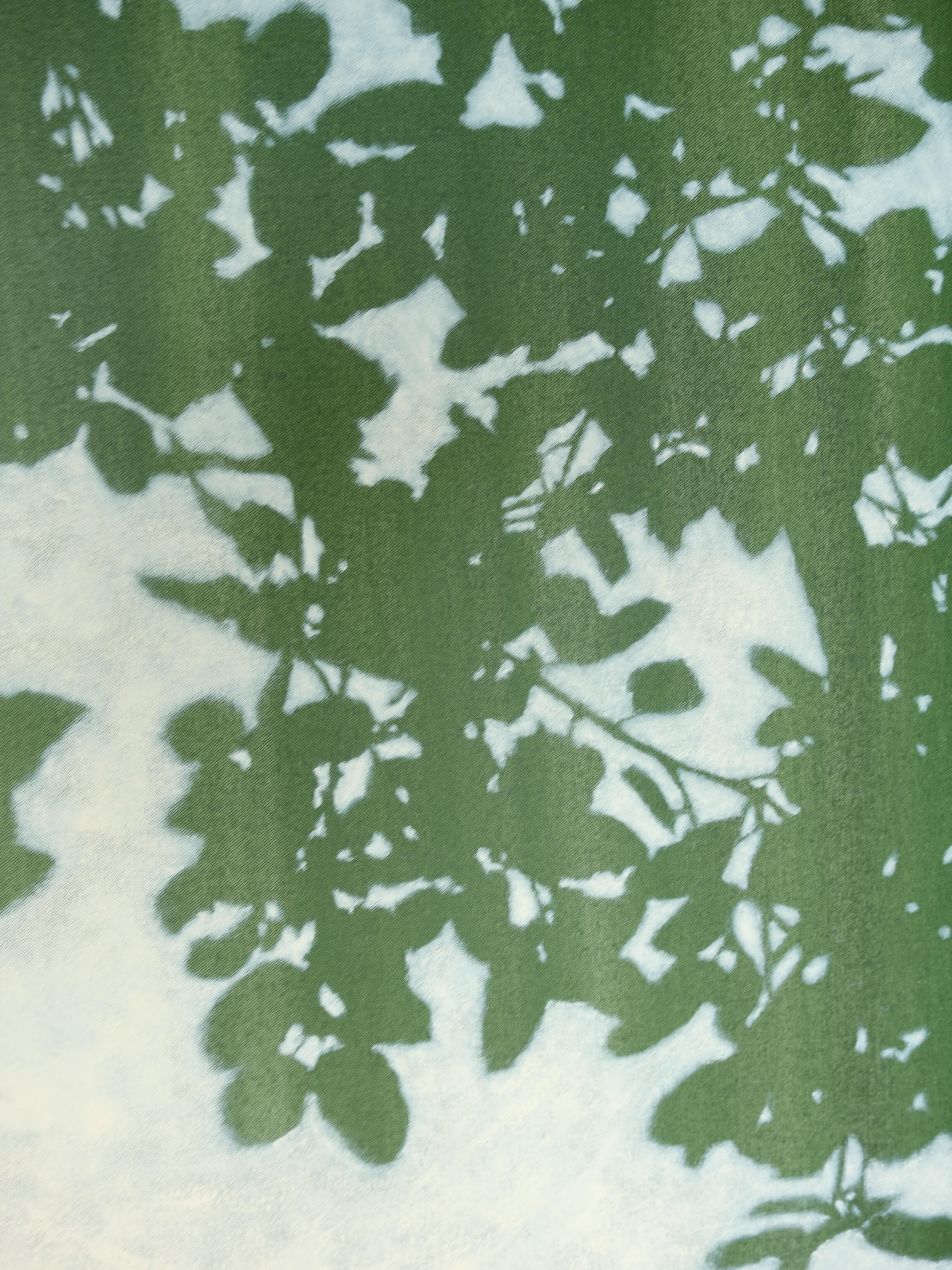 Sunrise Oak (peinture acrylique encadrée 36 x 36 pouces) - Painting de Christine So