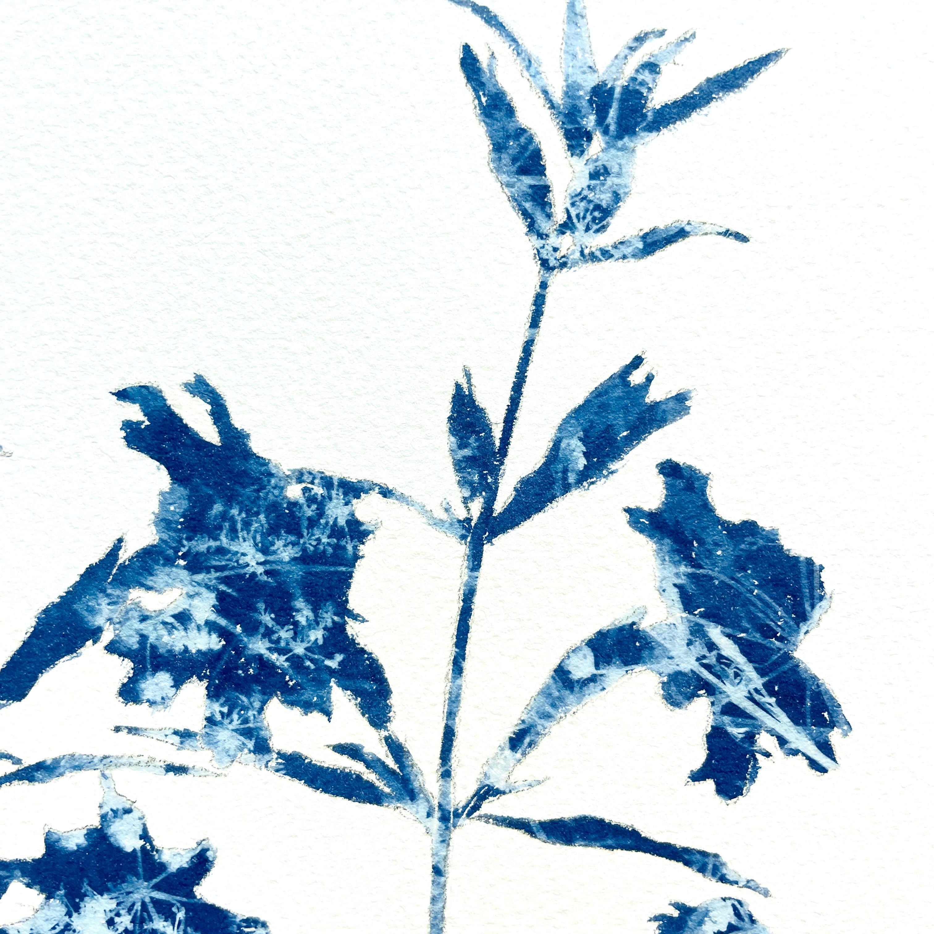 Es handelt sich um eine Kombination aus Malerei und Fotografie, das antike Cyanotypie-Verfahren. Die Silhouette der Pflanze wurde zunächst gezeichnet und dann nicht mit Tinte oder Farbe, sondern mit lichtempfindlicher Fotoemulsion gemalt. Das