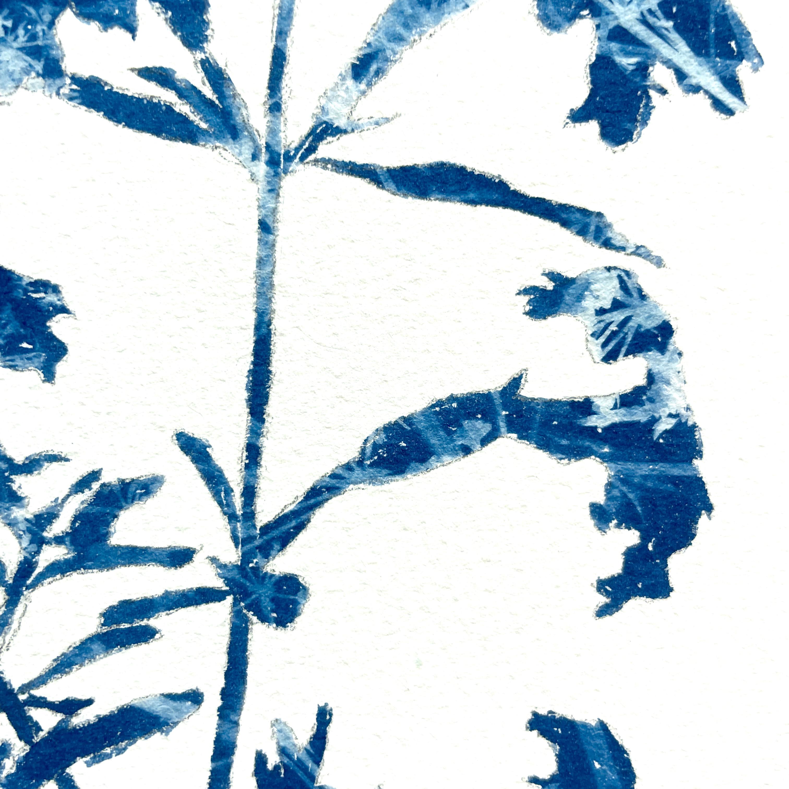 Winzige Wildblumen (12 x 12 Zoll Cyanotypie-Gemälde) im Angebot 1
