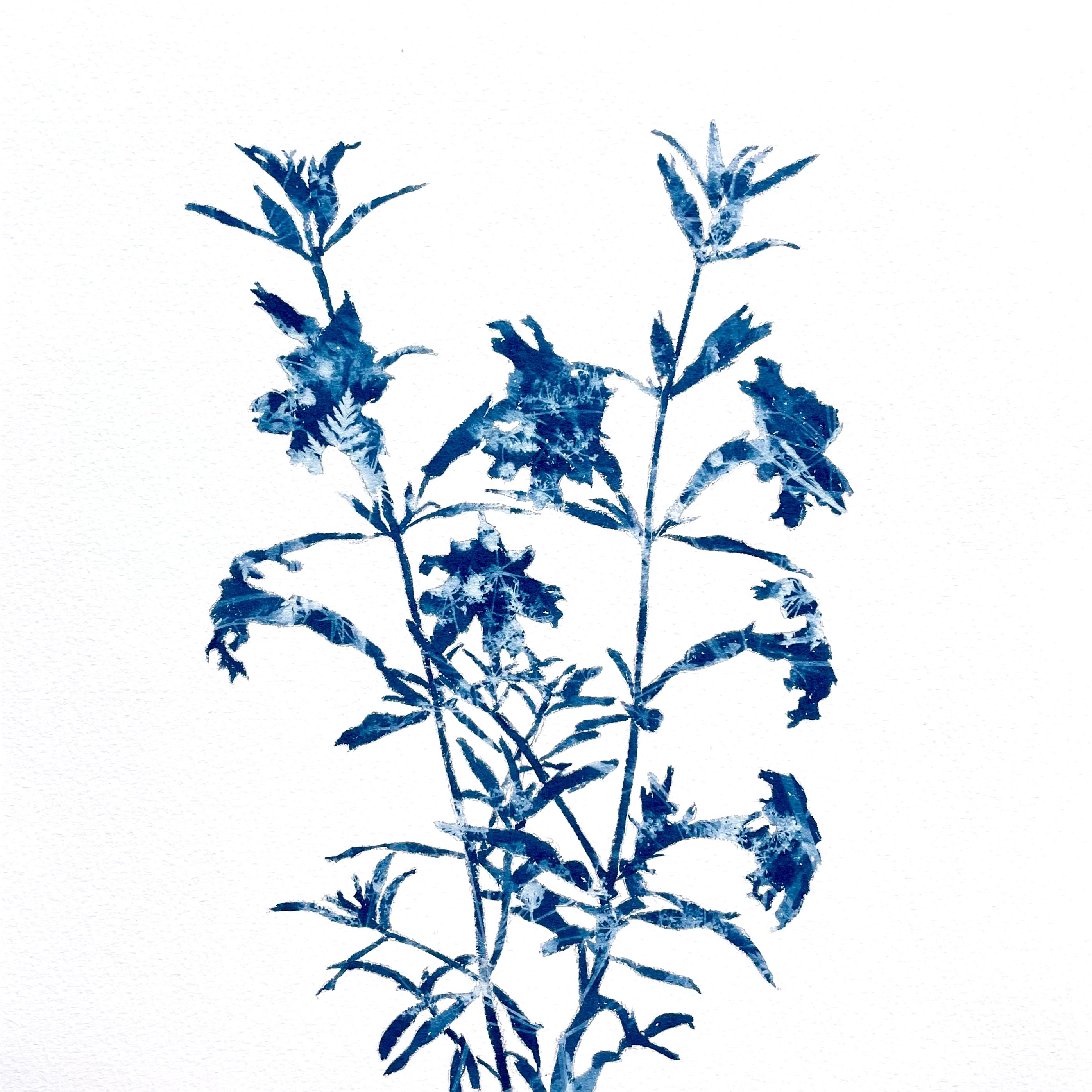 Piccoli fiori selvatici (dipinto in cianotipia 12 x 12 pollici)