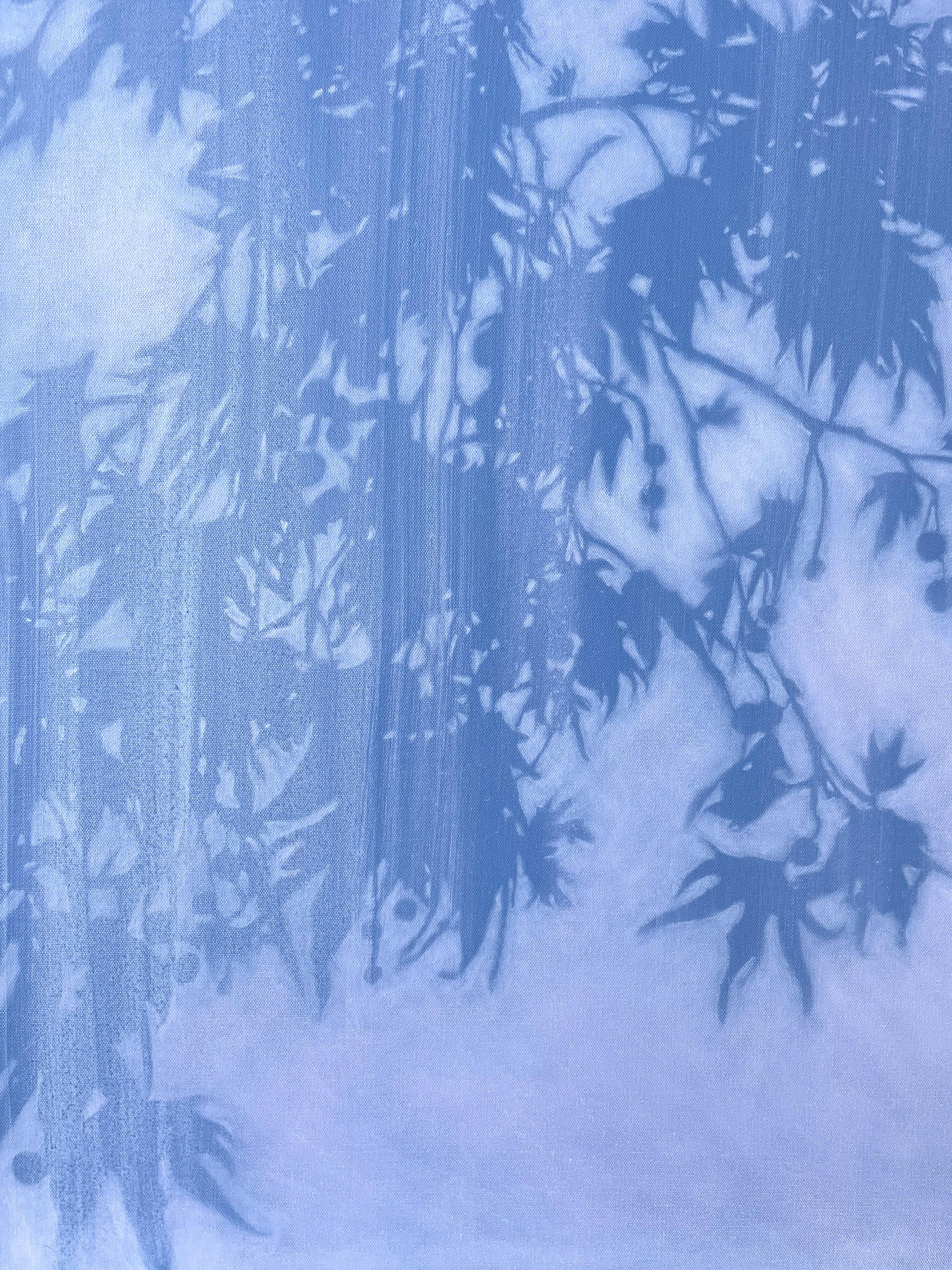 Les tons calmes d'un ciel d'hiver au lever du soleil. La silhouette des longues branches gracieuses et liquides de l'arbre d'ambar suspendues au ras du sol. Les bords des feuilles ne sont pas nets, mais adoucis, comme si le monde venait d'être mis