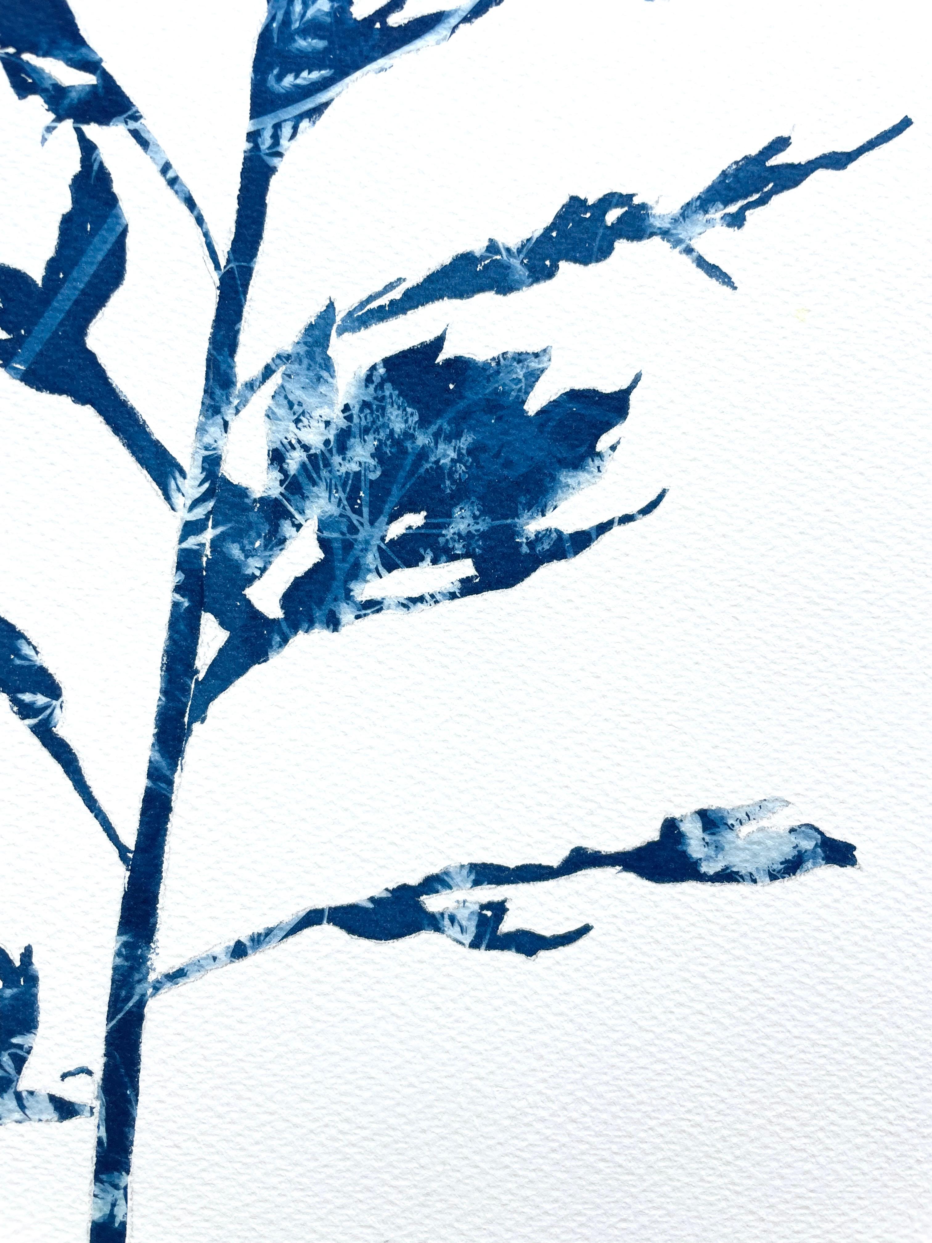 Woodland Path (24 x 18 inch cyanotype painting) For Sale 6