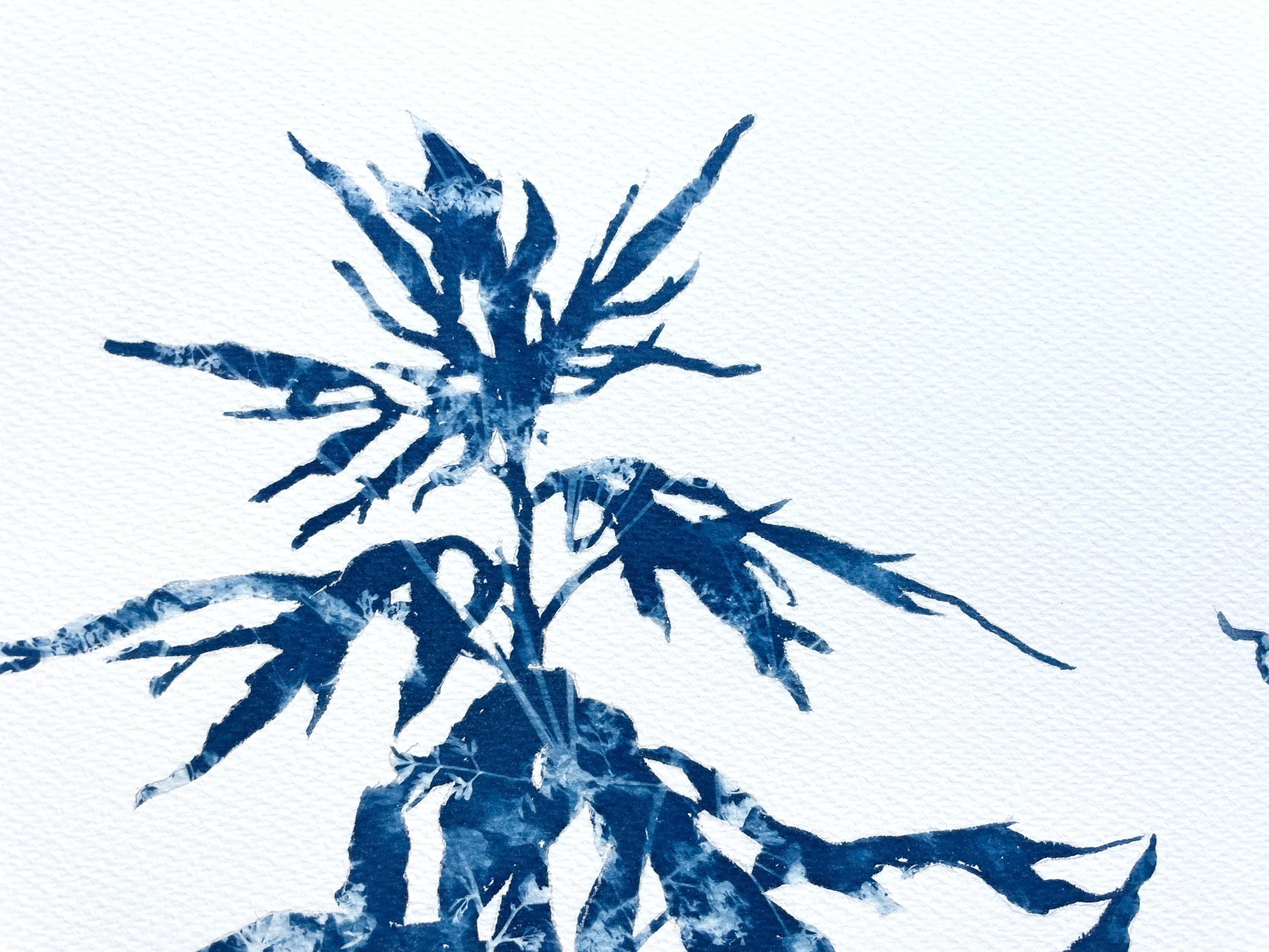 This is a combination of painting and photography, the antique cyanotype process. The silhouette of the plant was first drawn, then painted not with ink or paint, but with light-sensitive photo emulsion. The blue and white pattern seen in each leaf