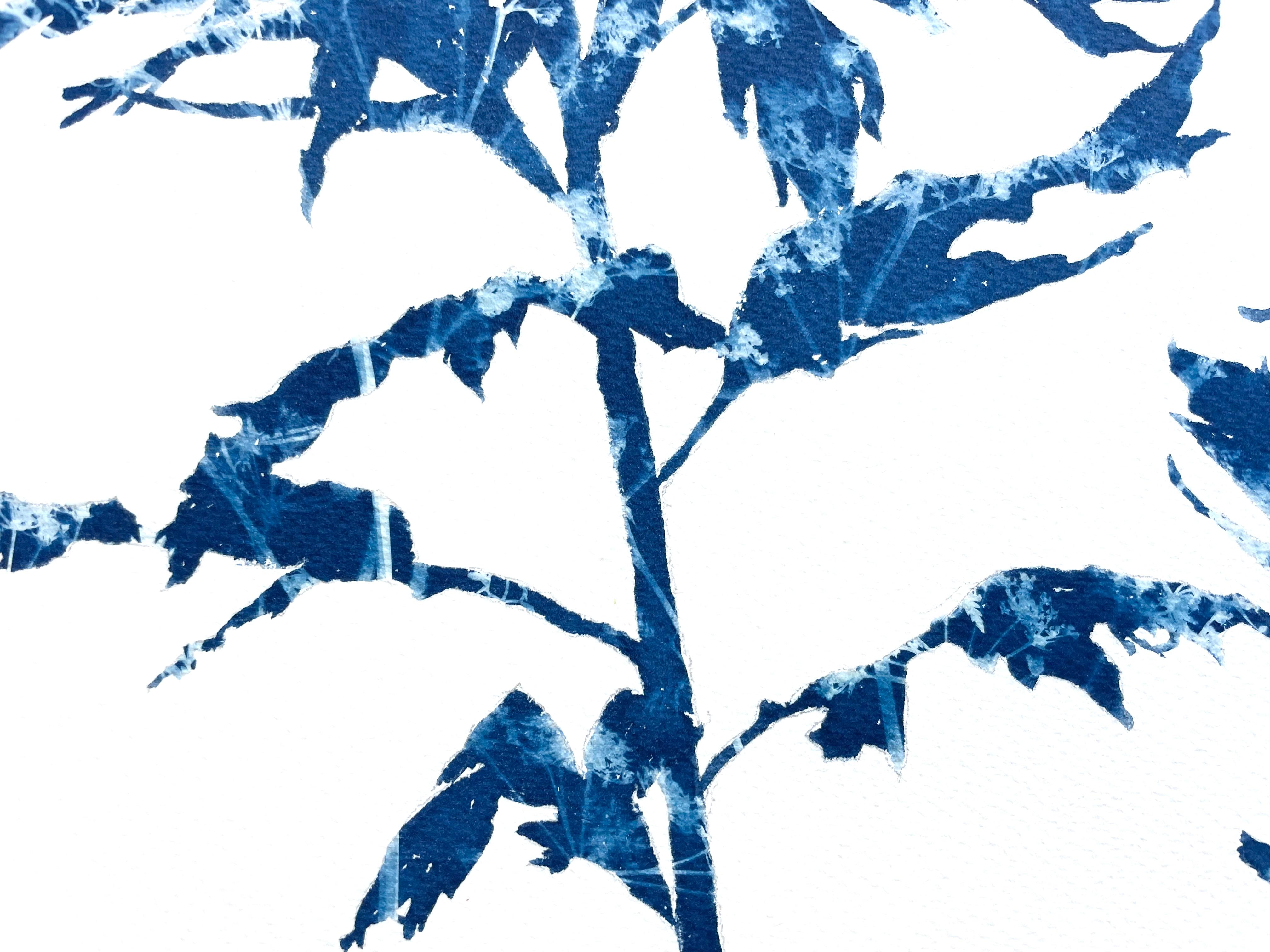 Woodland Path (24 x 18 inch cyanotype painting) For Sale 1