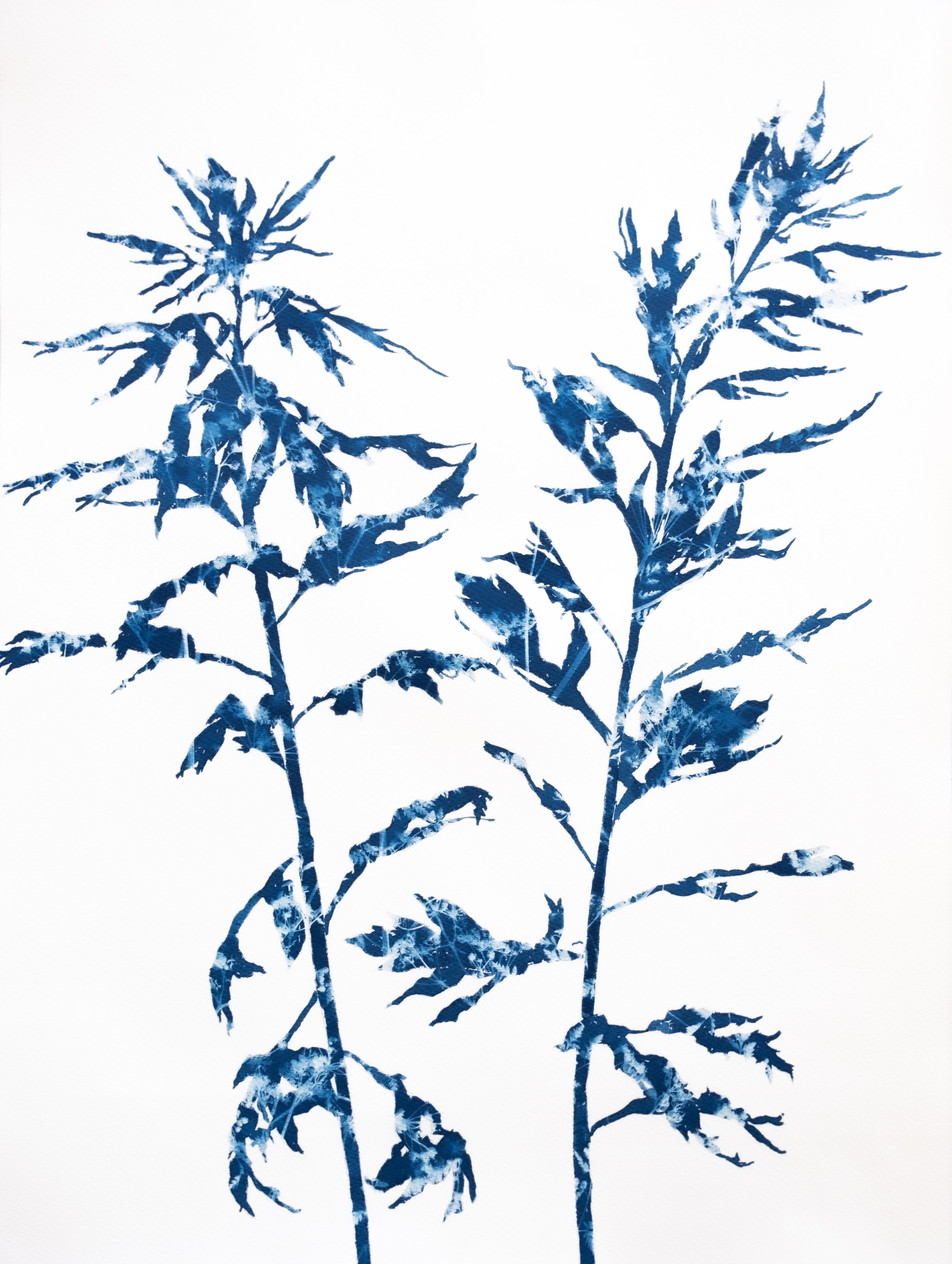 Woodland Path 24 x 18 pouces (peinture cyanotype)