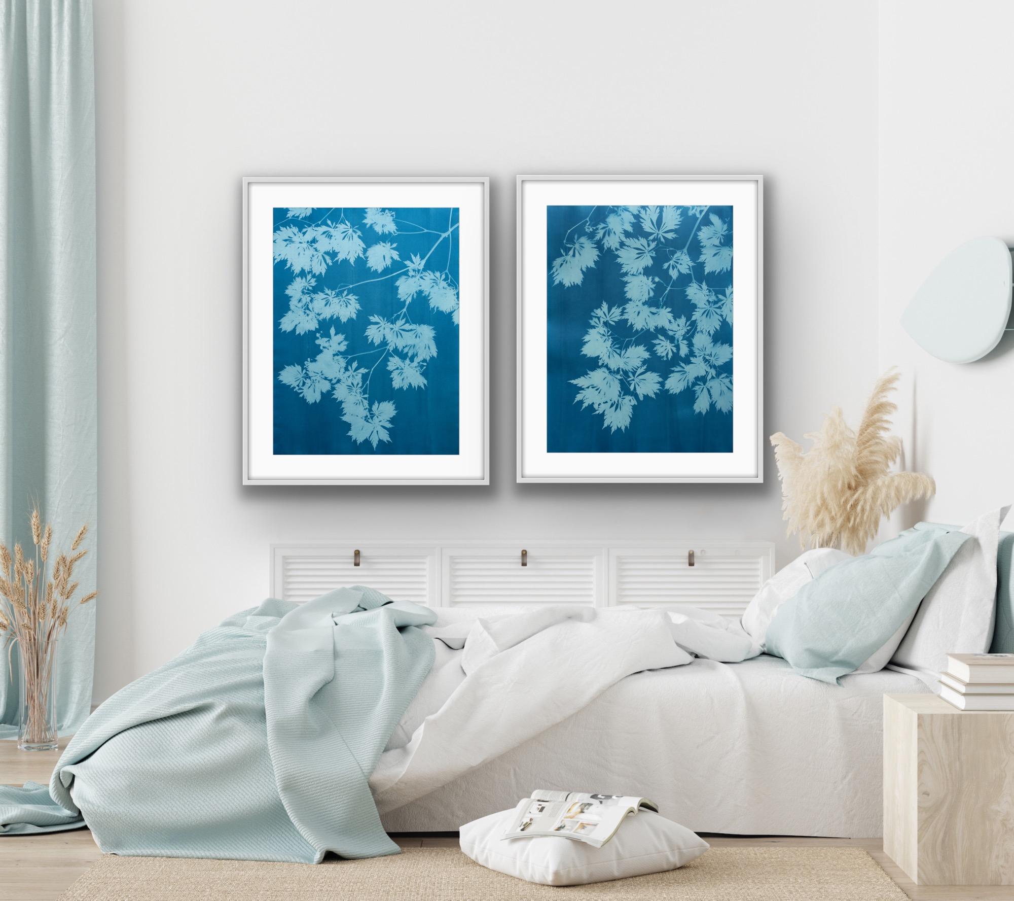 Blue Maple Diptych (two hand-printed botanical cyanotypes 30 x 22 inches each) For Sale 2