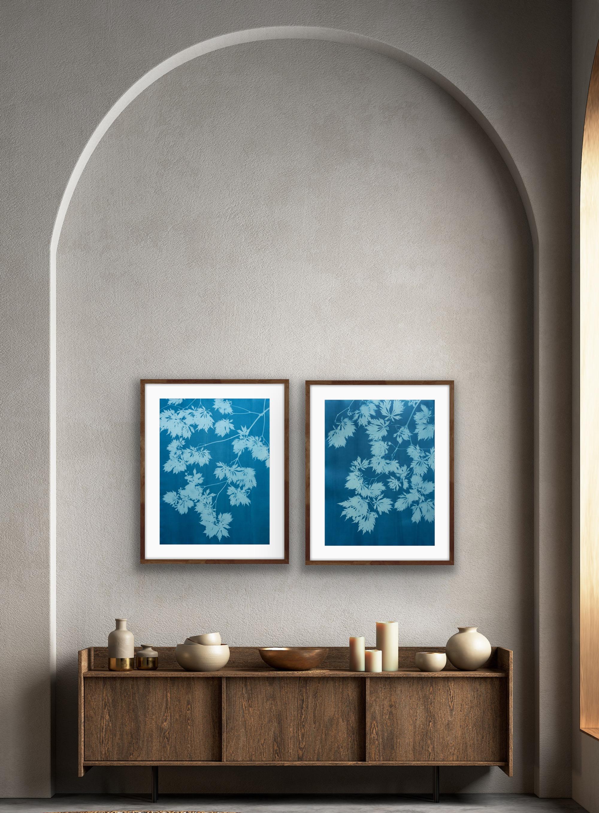 Blue Maple Diptych (two hand-printed botanical cyanotypes 30 x 22 inches each) For Sale 3