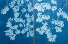 Blaues Ahorn Diptychon (zwei handgedruckte botanische Cyanotypien 30 x 22 Zoll je)