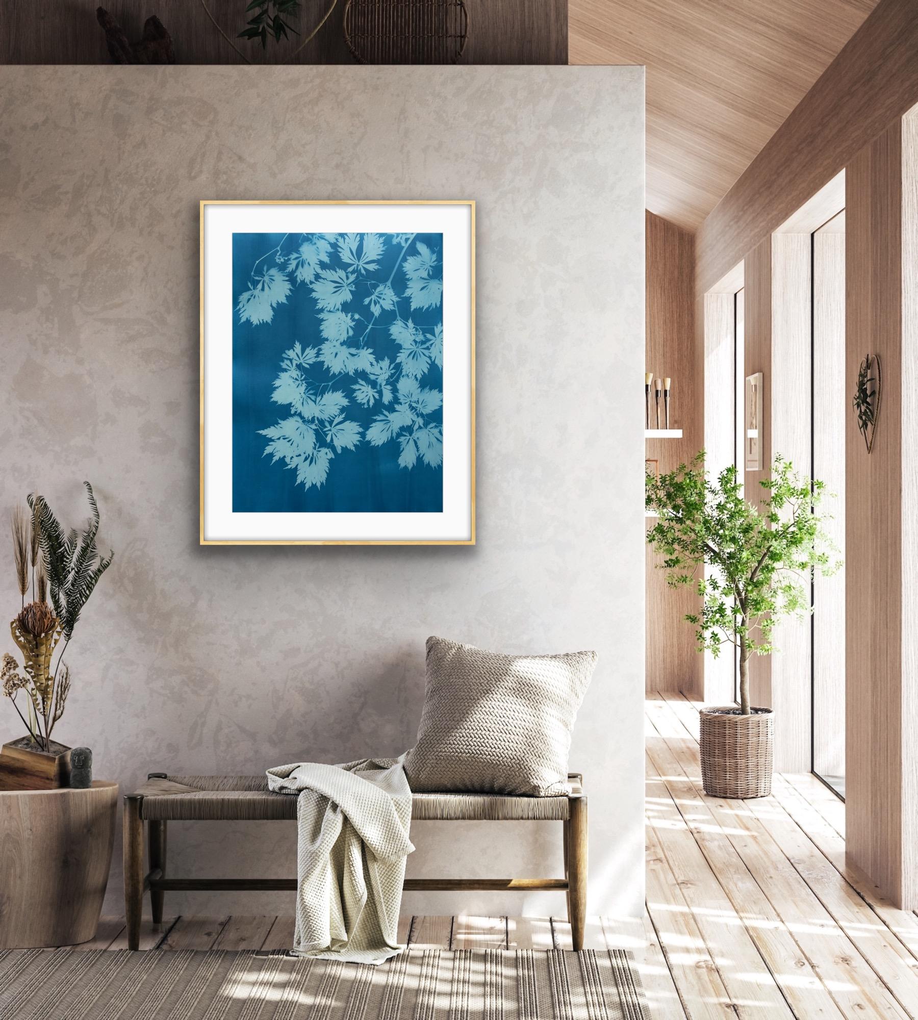 Blue Maple IV ( 30 x 22 inch hand-printed botanical cyanotype) - Print by Christine So