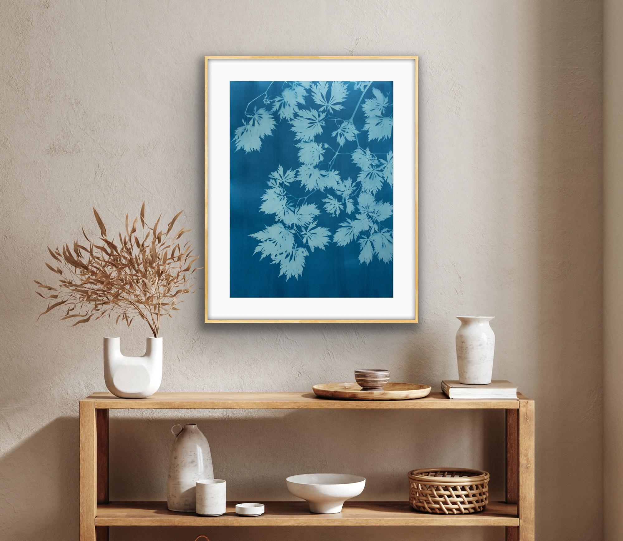Blue Maple IV ( 30 x 22 inch hand-printed botanical cyanotype) - Contemporary Print by Christine So
