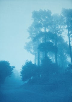 Caminante No Hay Camino (12 x 16.5" cyanotype, ed. 1 of 10)