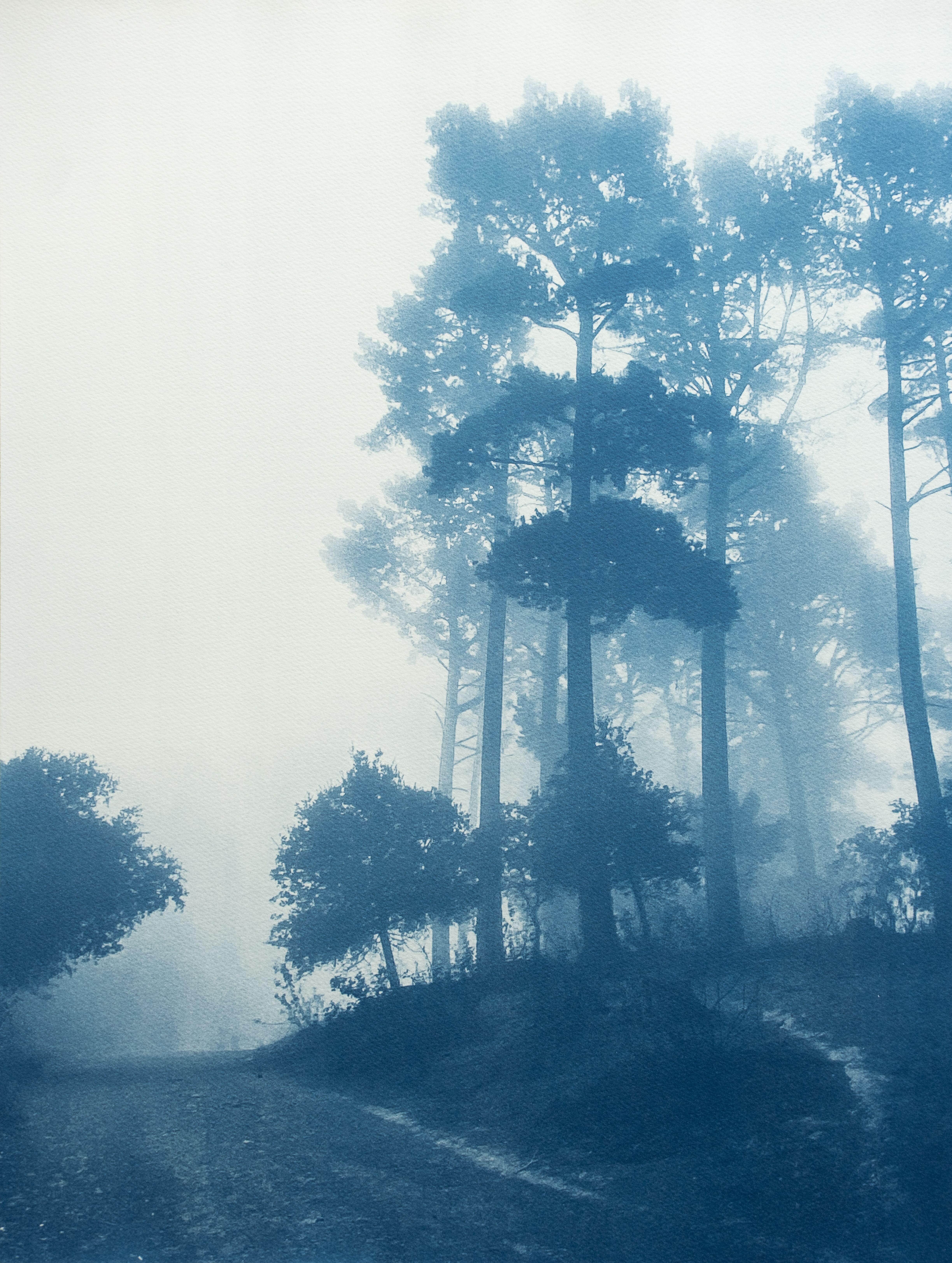 Christine So Landscape Print - Caminante No Hay Camino (Hand-printed cyanotype, 24 x 18 inches)
