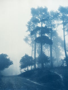 Caminante No Hay Camino (cyanotype imprimé à la main, 24 x 18 pouces)